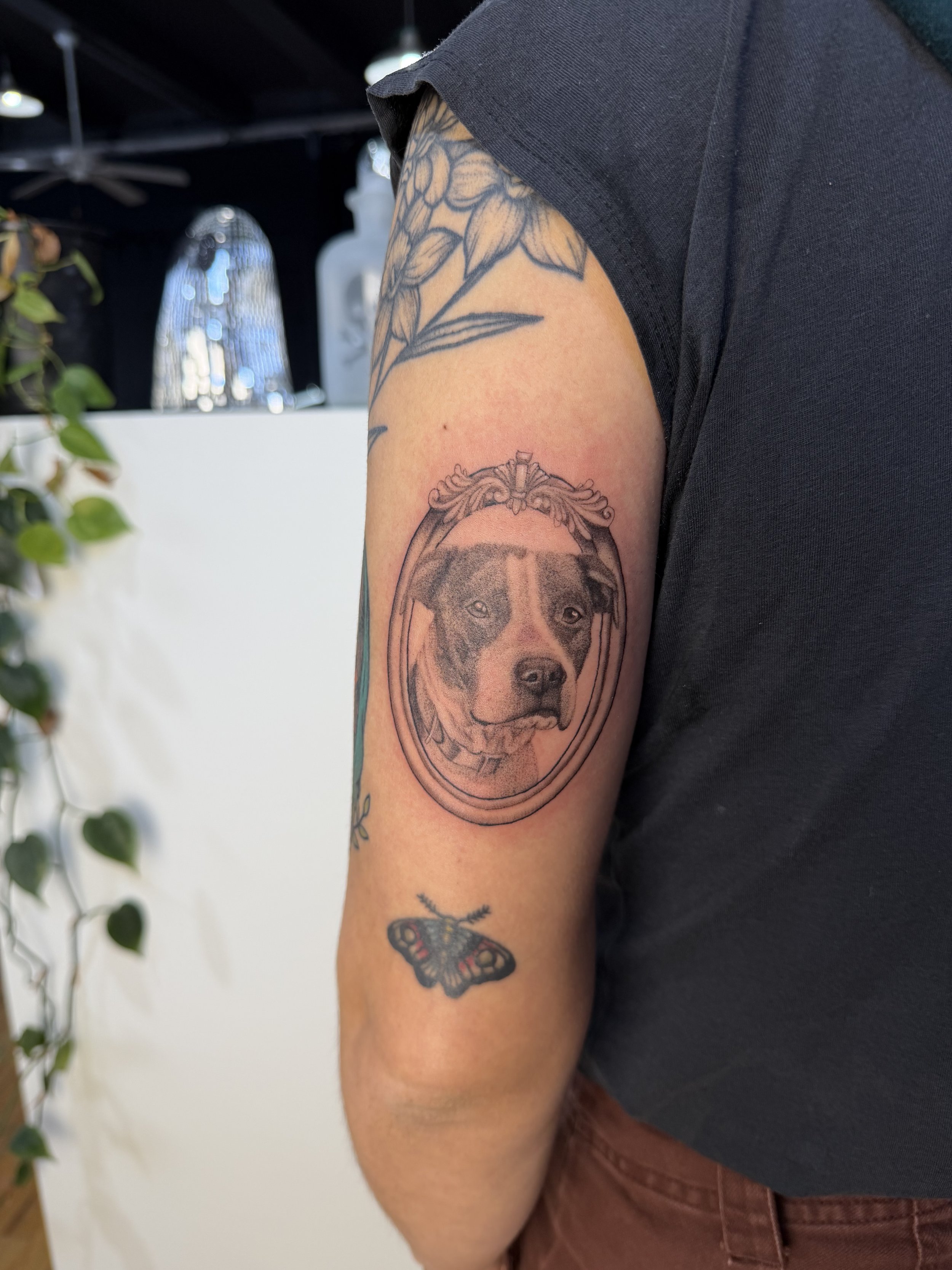 Pet portrait dog 3.5in (2026)