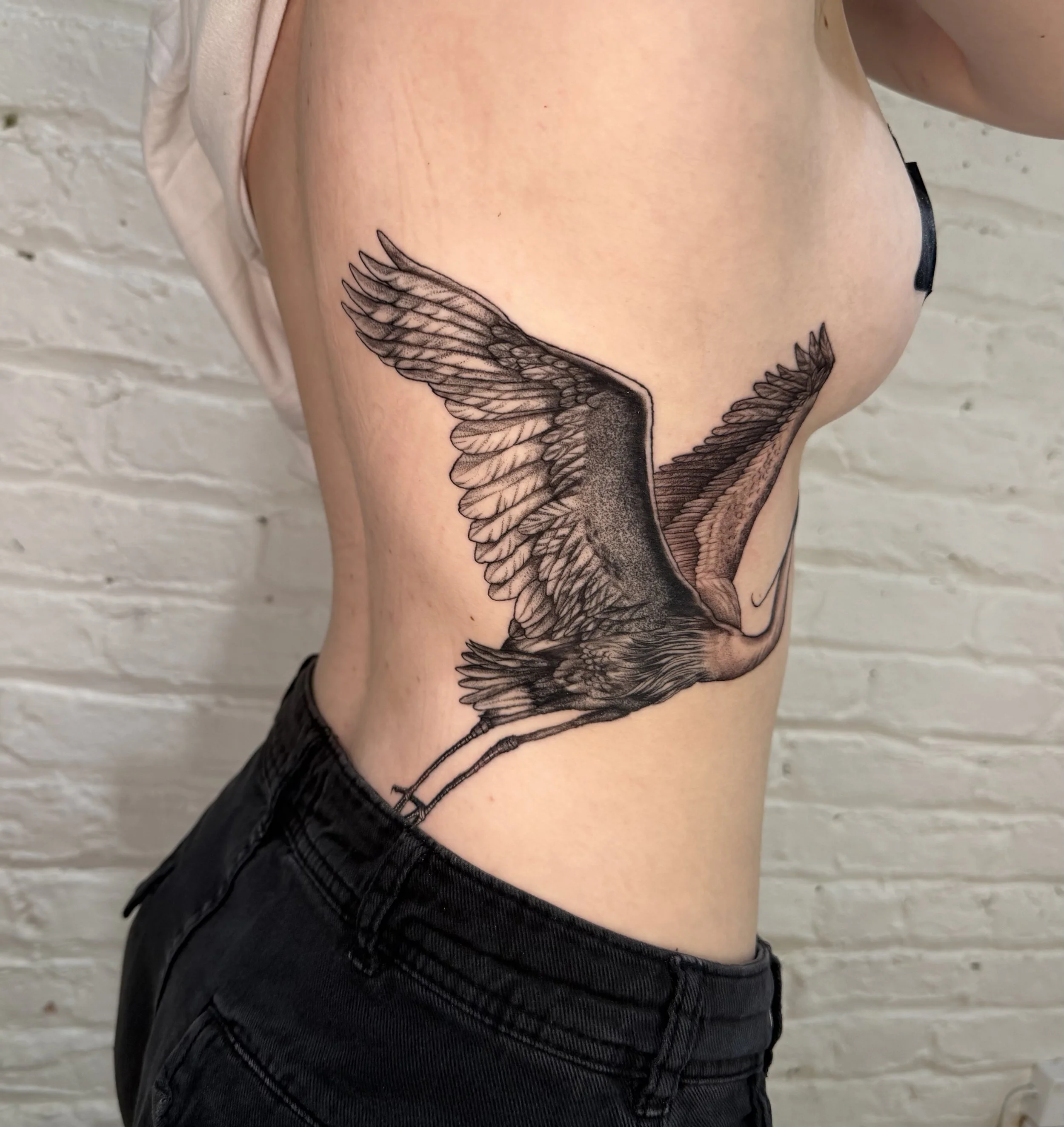 Half healed Great Blue Heron