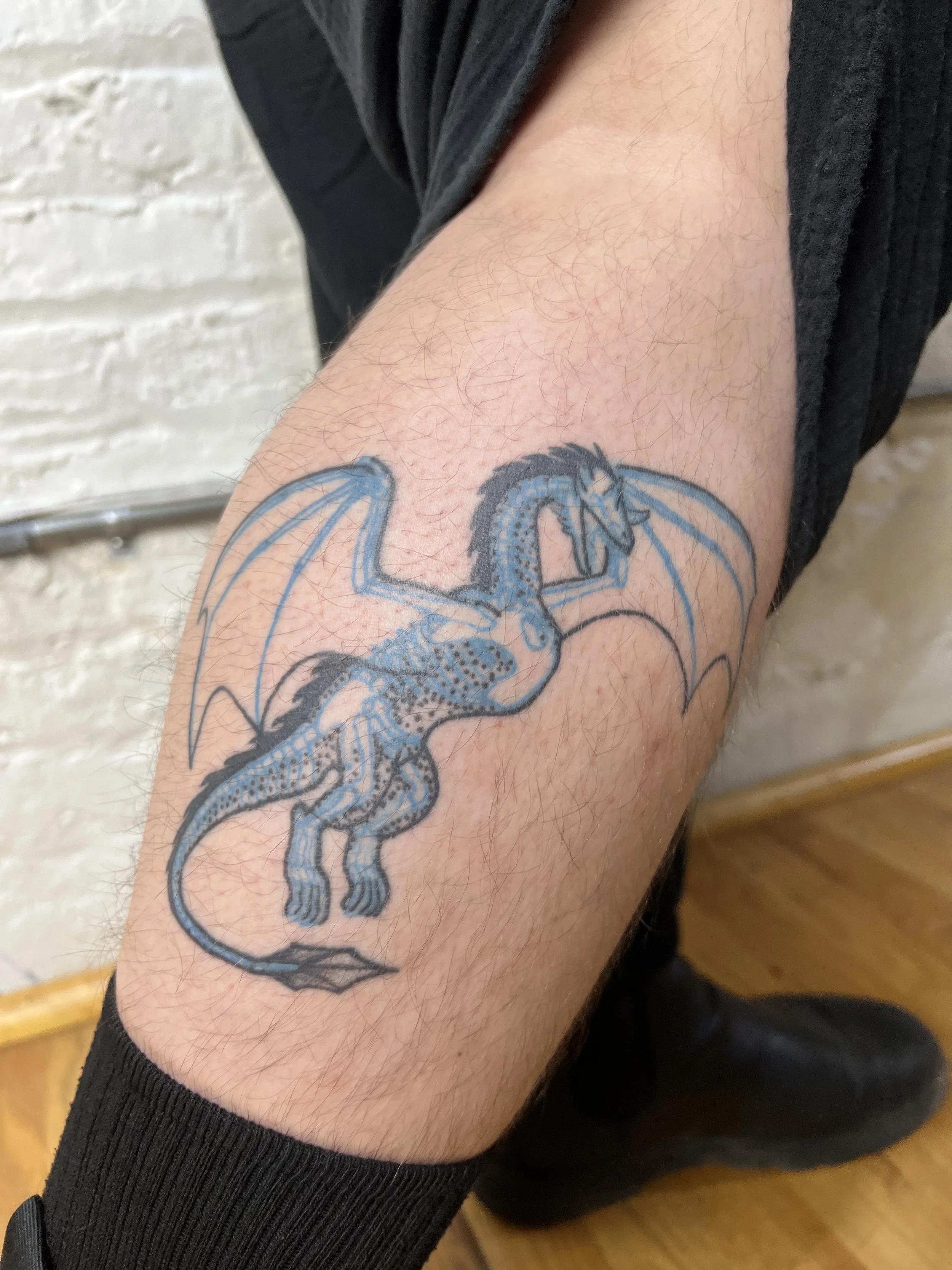 HEALED X-ray dragon 6.5in (2025)