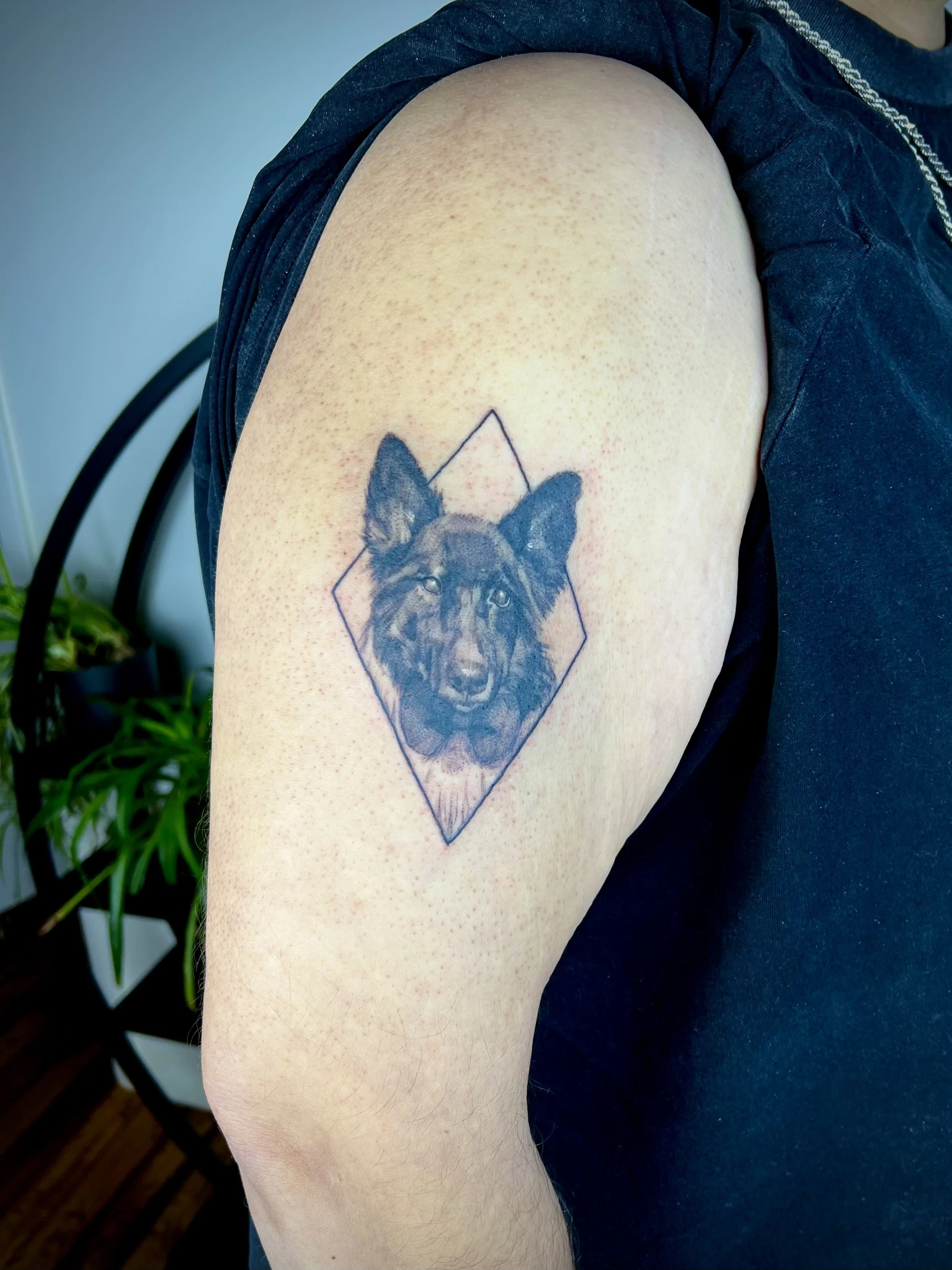 Pet portrait 3in (2024)