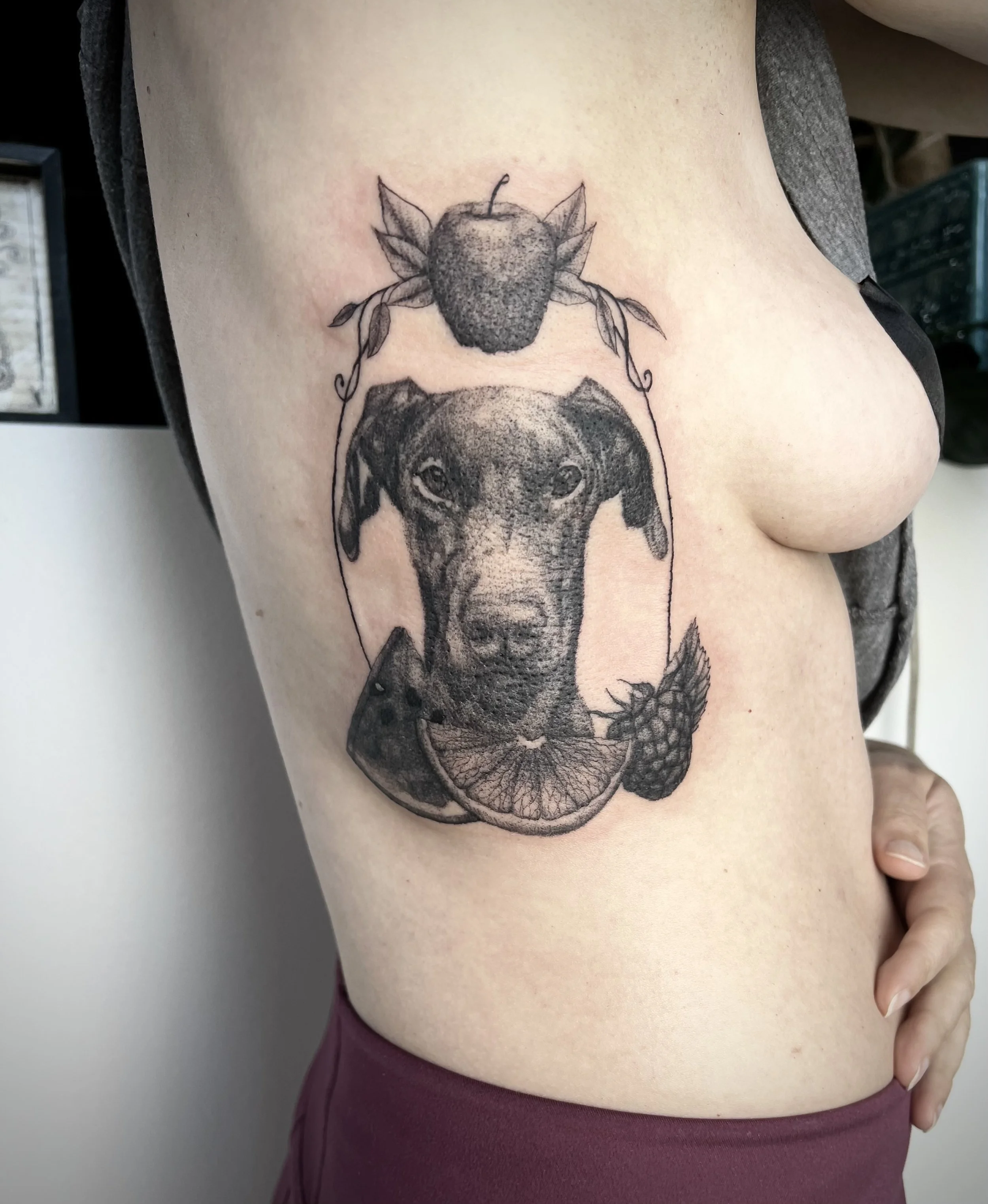 Doberman portrait 8in (2025)