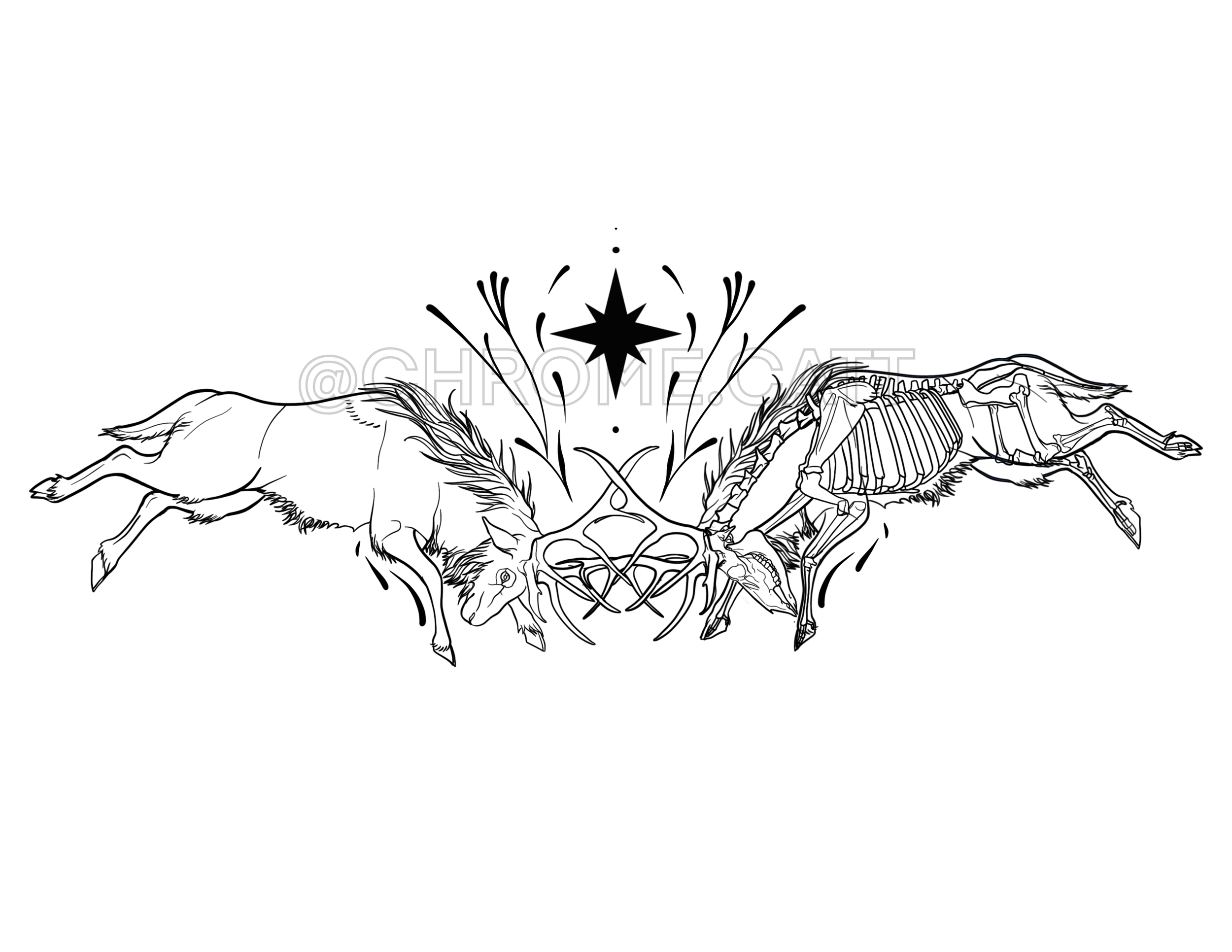 IMG_8262.png