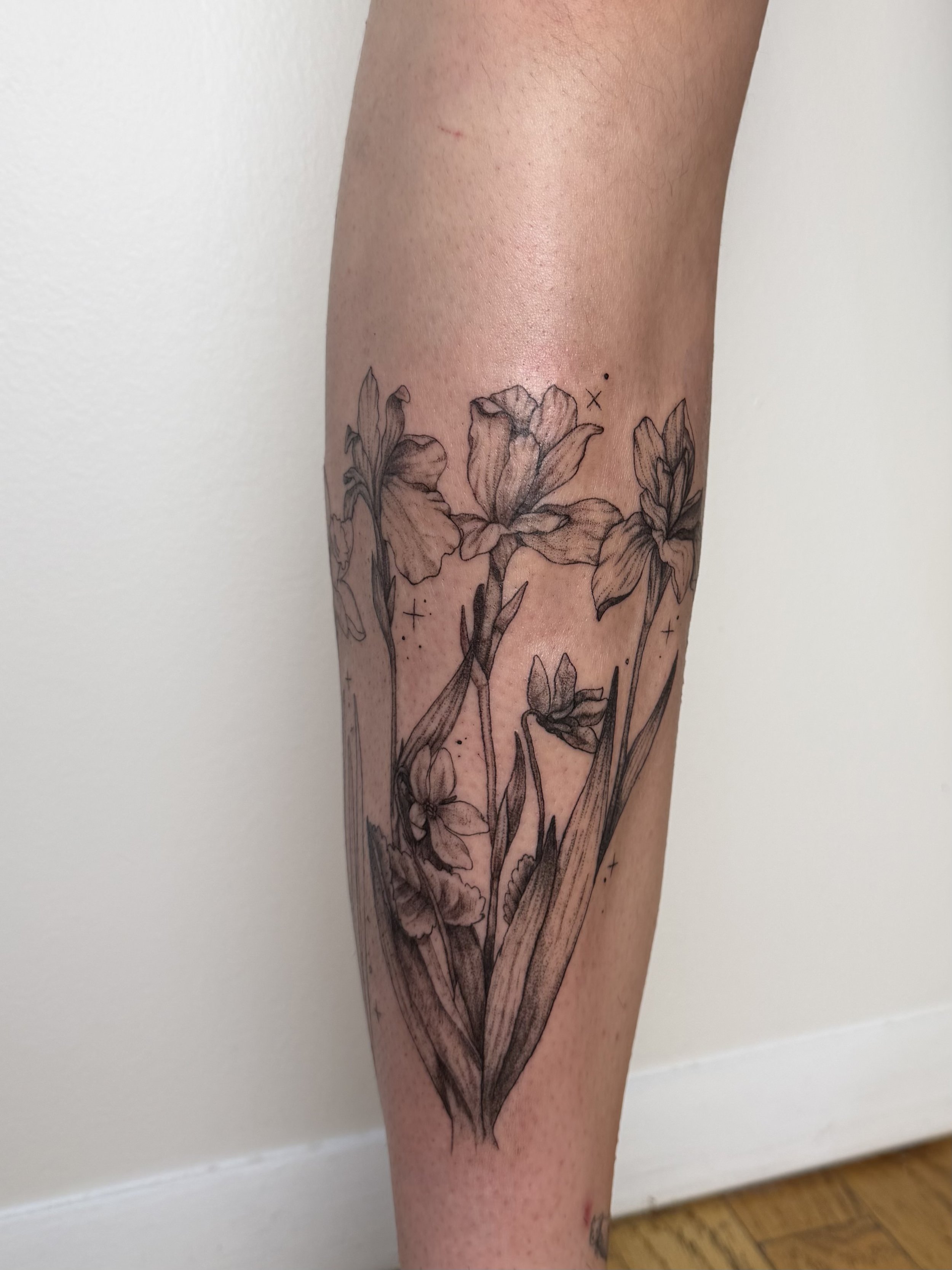 Birth flower Irises (2026)