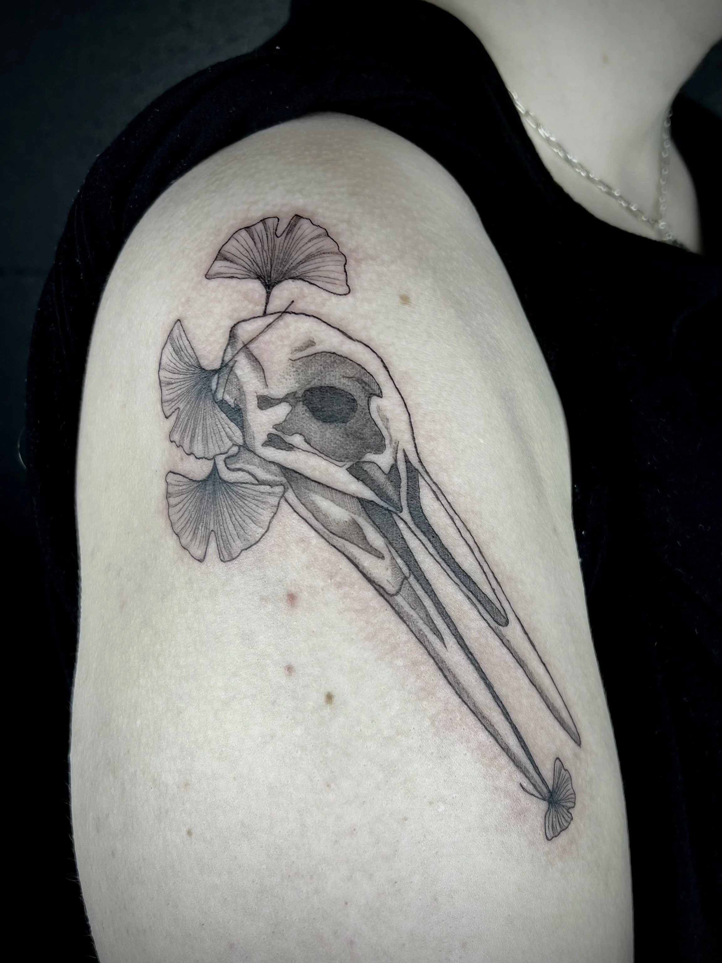 Bird skull and ginkgo 6in (2024)