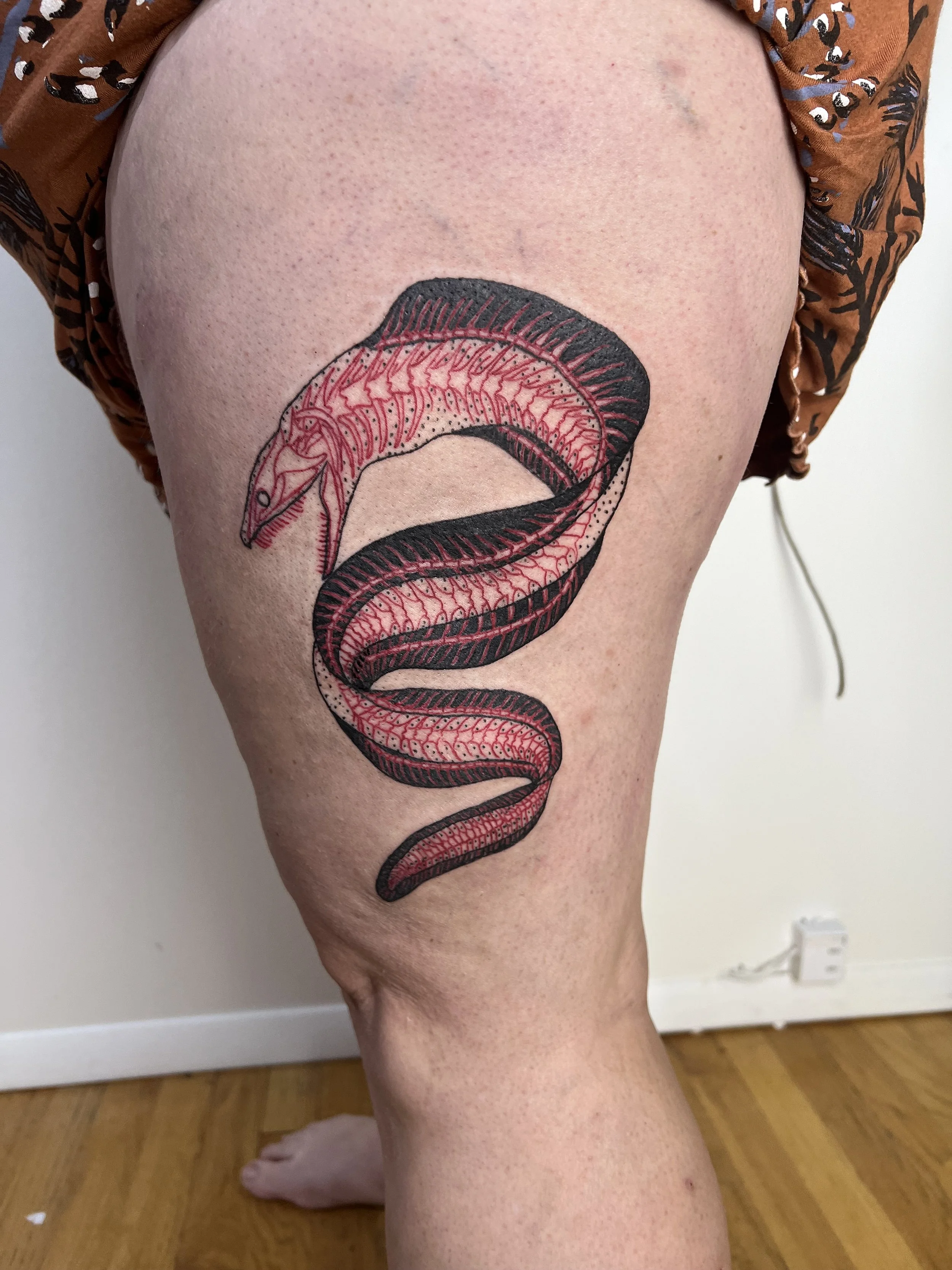 X-Ray Eel 9in. (2025)