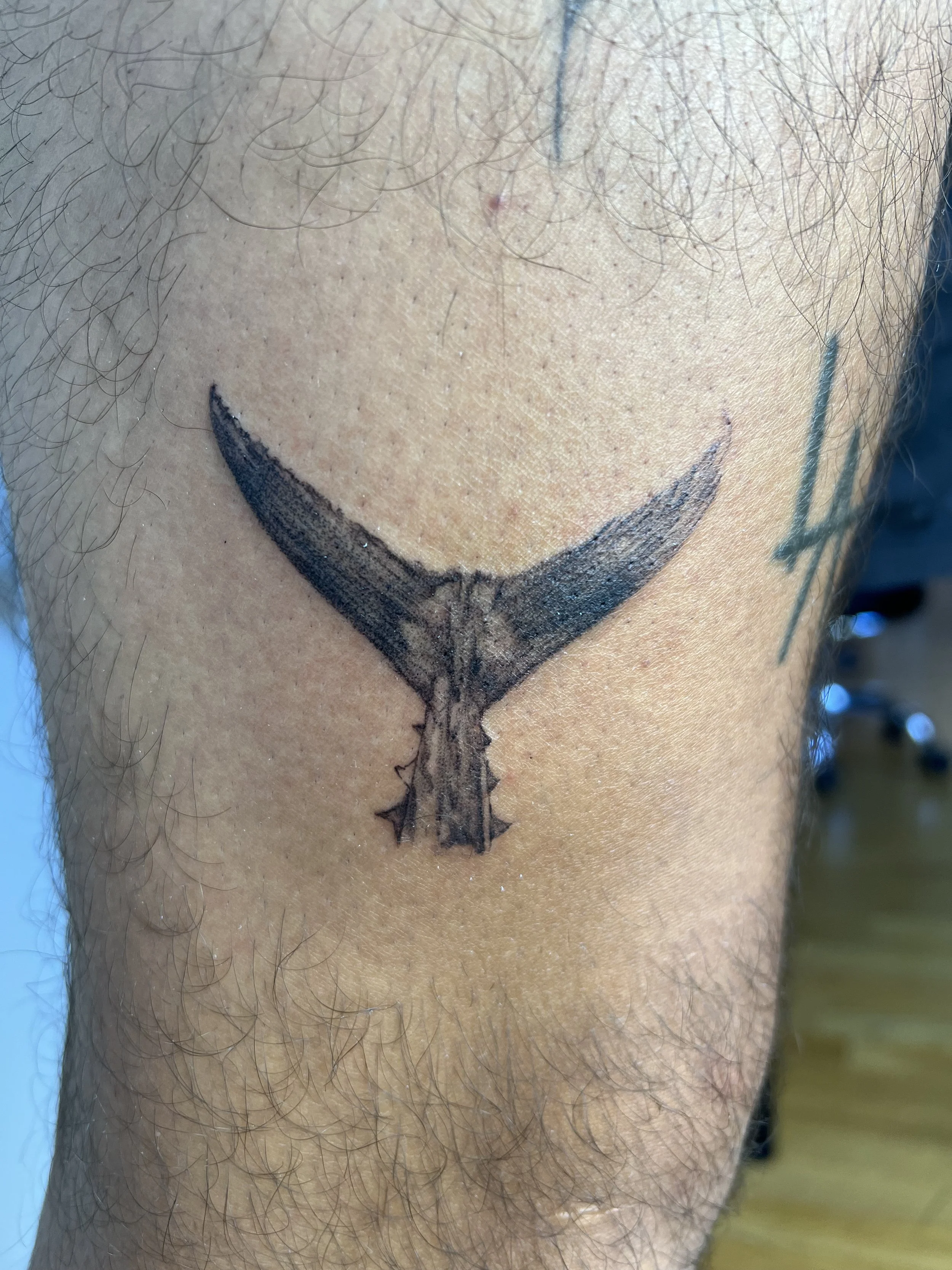 Tuna tail 3in (2025)