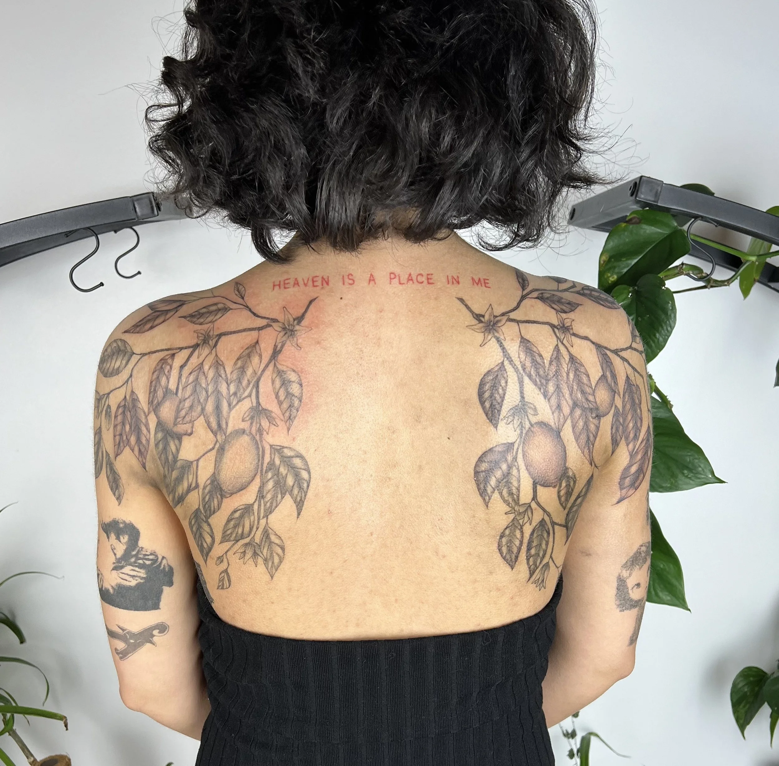 Flowers and lemon tree (2025)