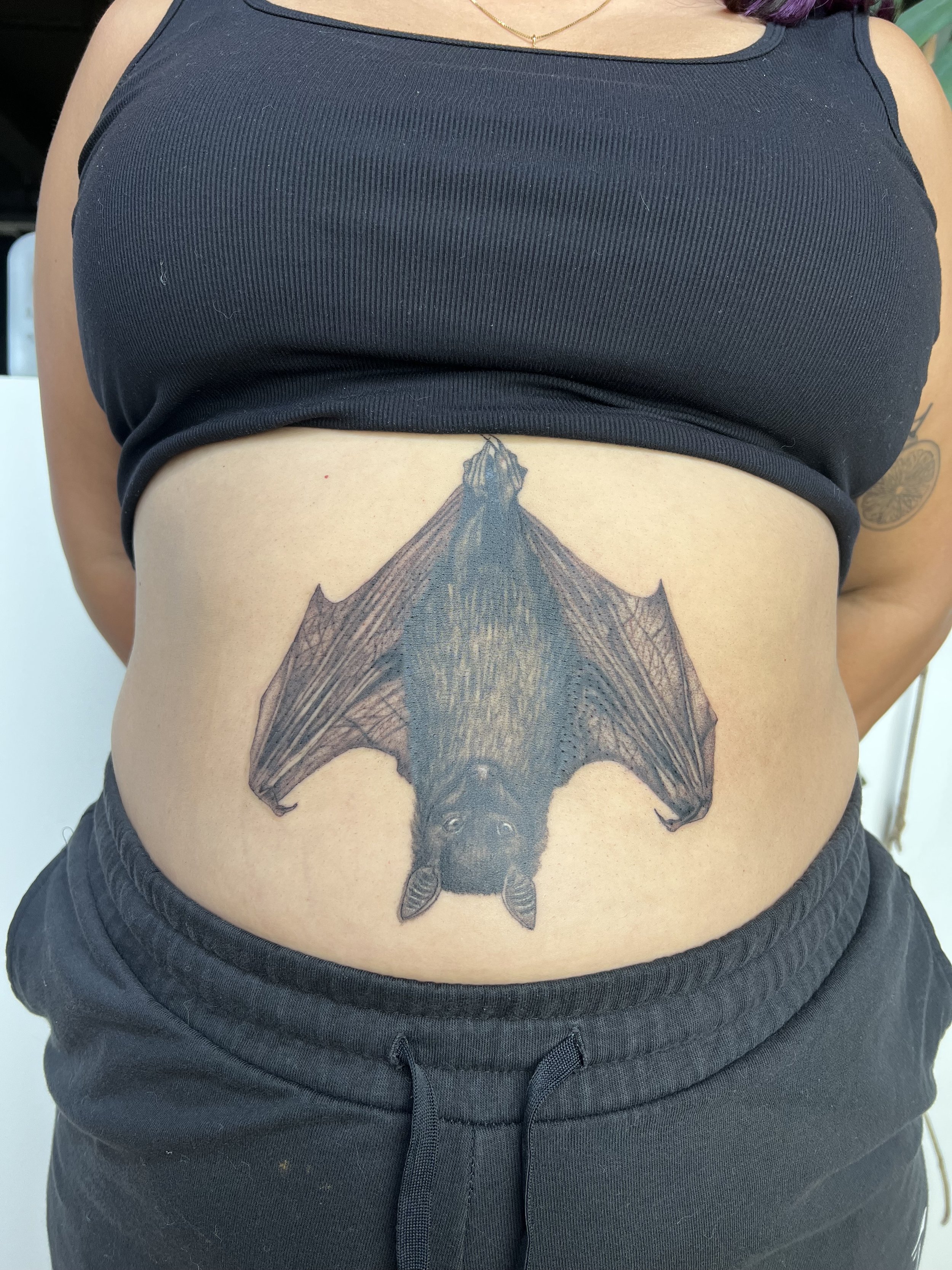 Bat hanging, half healed half fresh 7in (2025)
