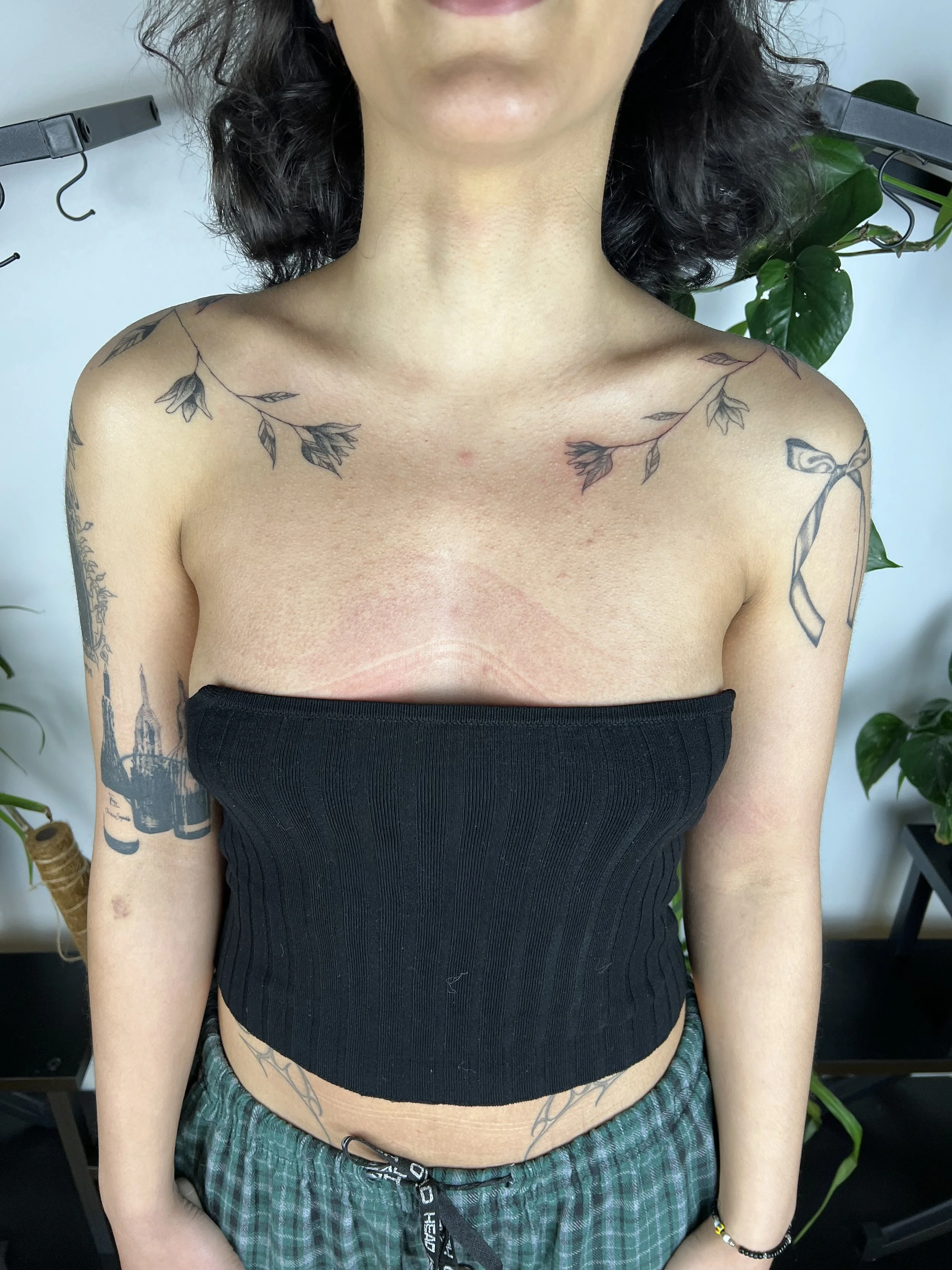 Flowers and lemon tree (2025)