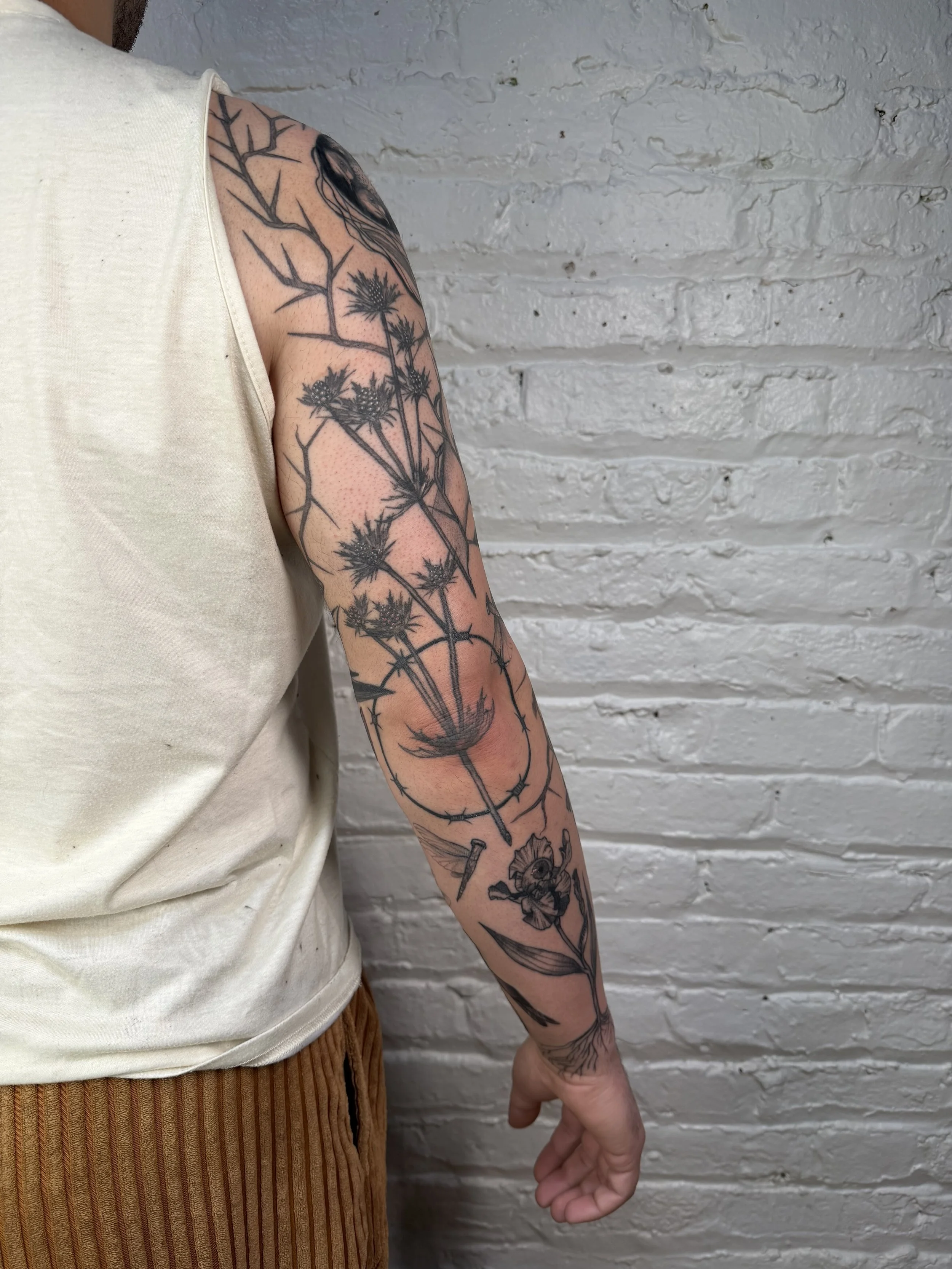 Black & Gray Surreal bird sleeve (2026)