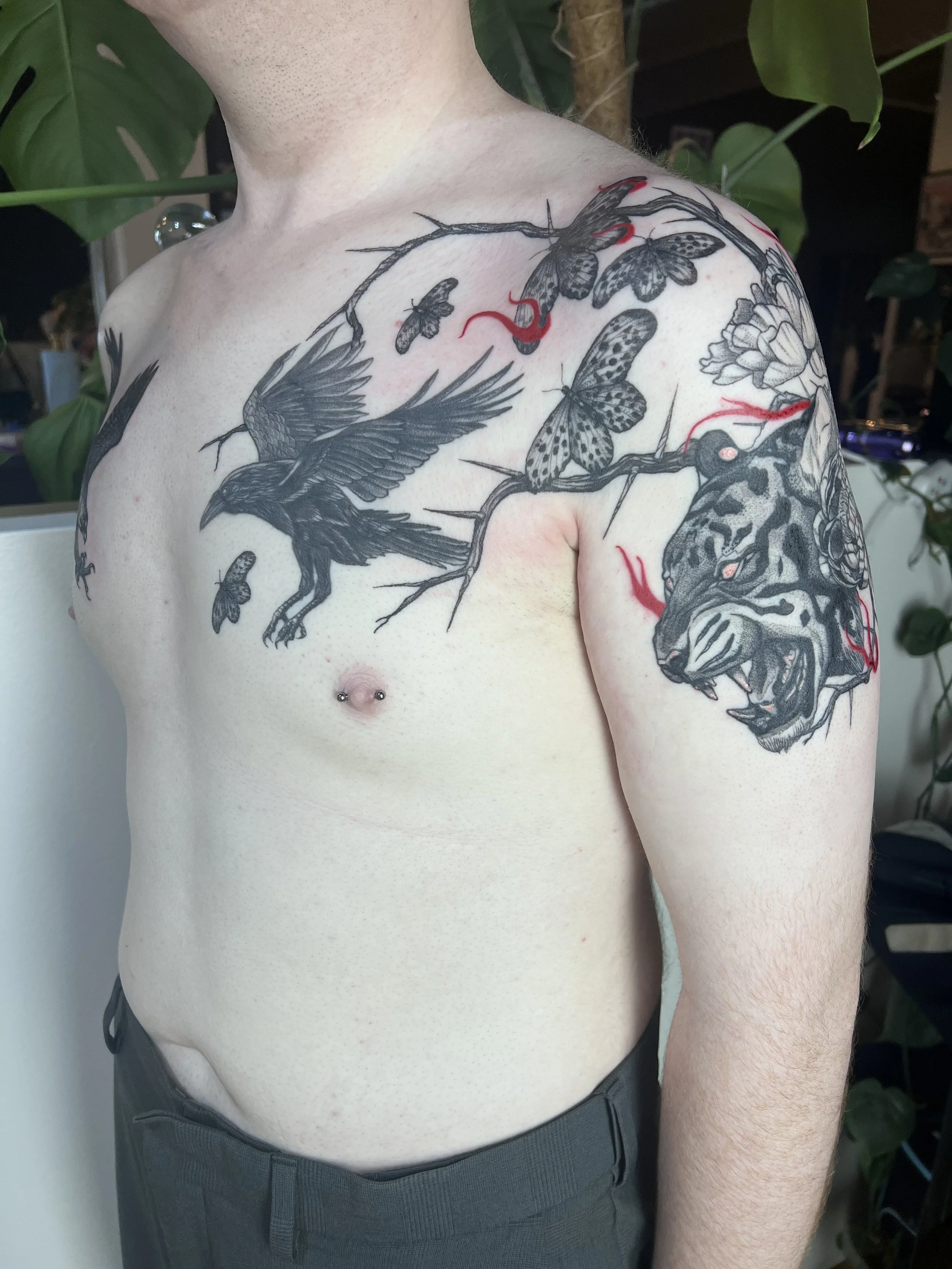 Crow & tiger piece half healed half fresh, (2025)