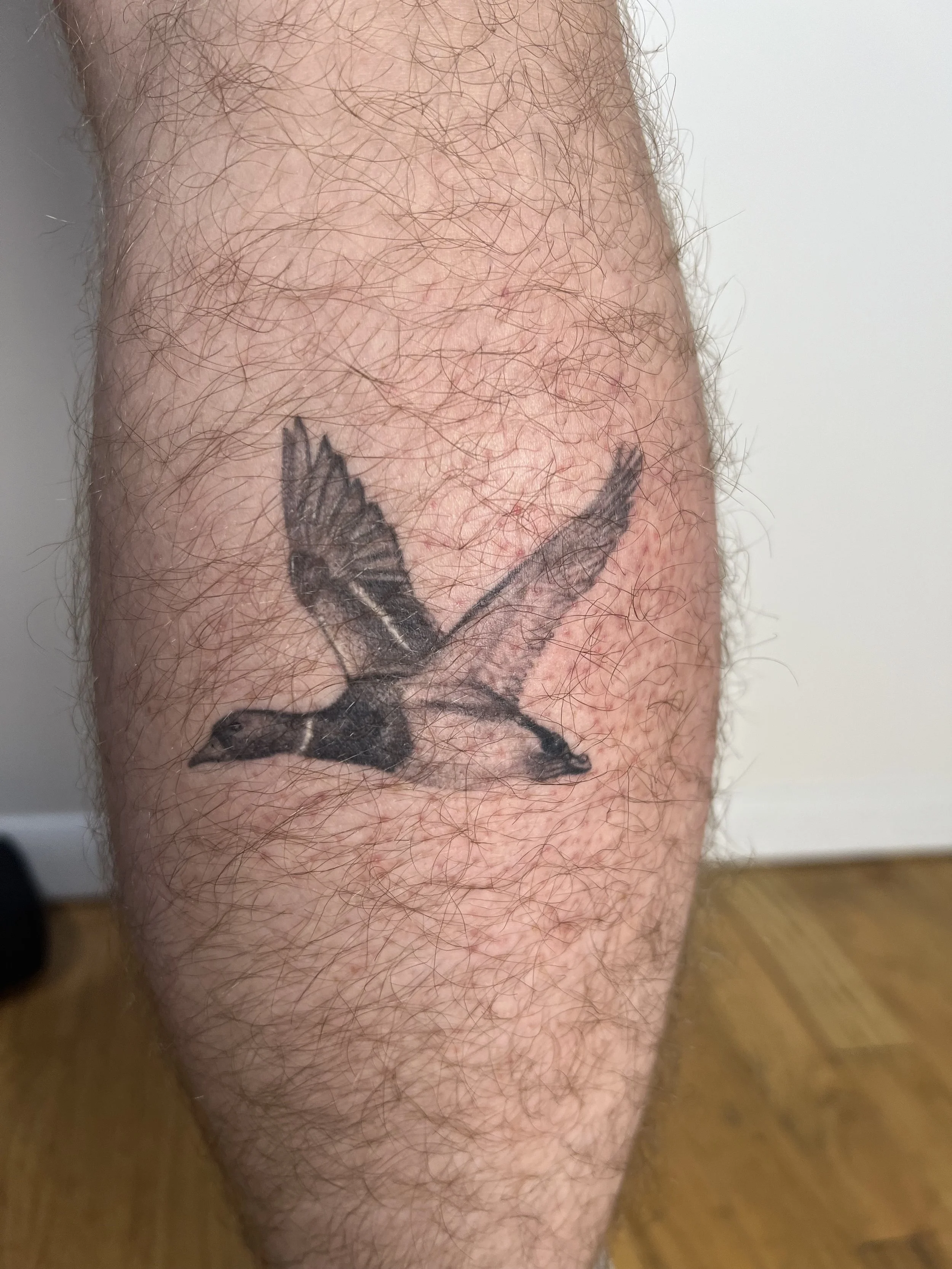 Mallard duck 4in (2025)