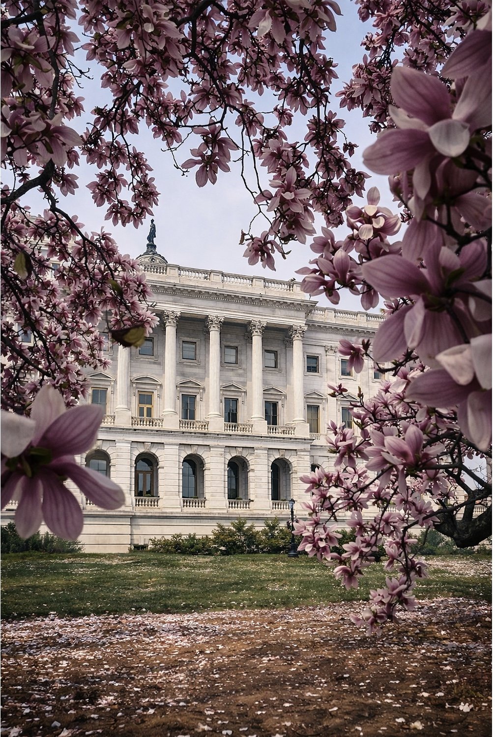 Amy Winnicki _Where Spring Begins.jpeg