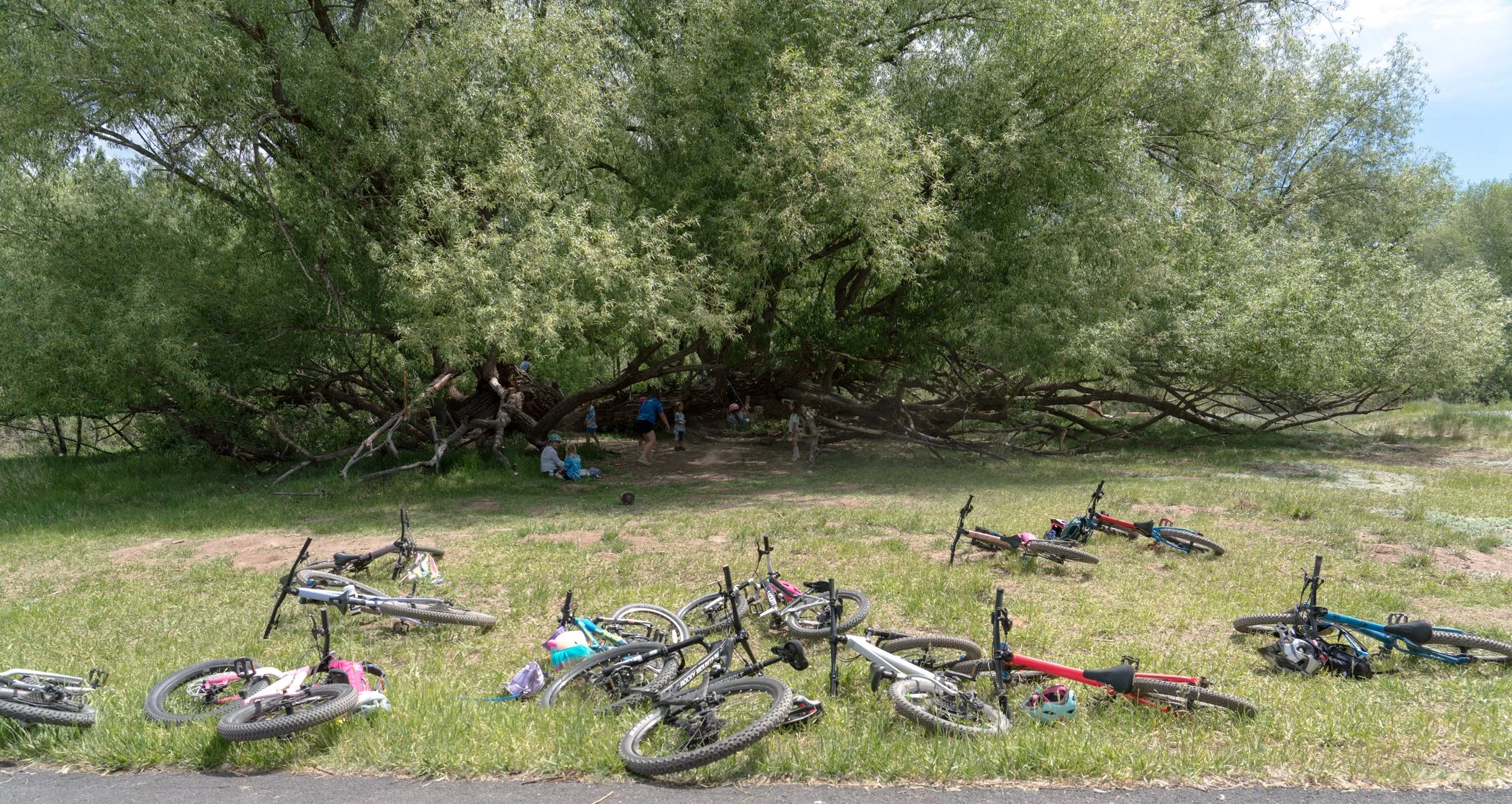 6_4_2026_ridecamp-09435.jpg