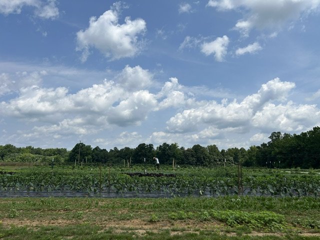 IMG_6841 - Hasena Farms.jpg