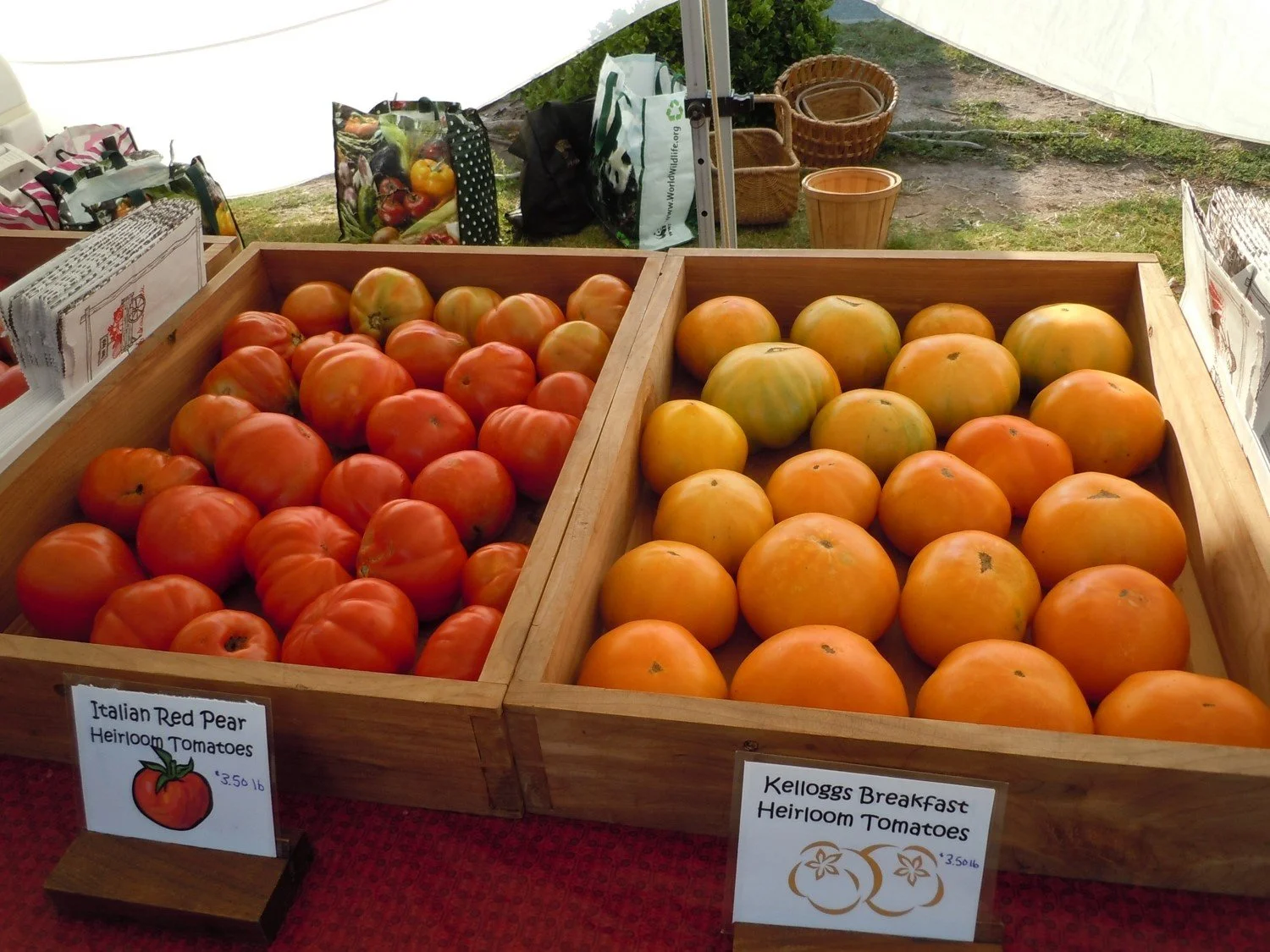 tomatoes - Redbud Farm.jpg