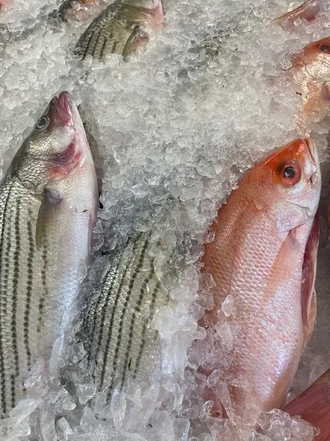 Copy of IMG_4344 - LiChun Young.jpeg