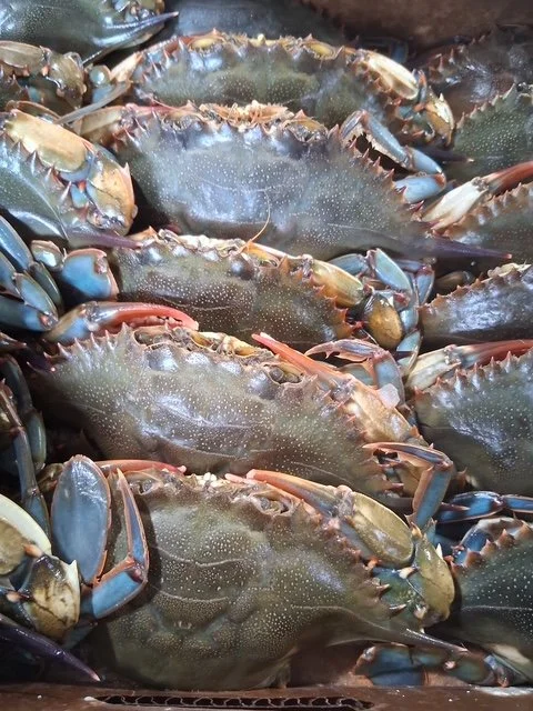 Copy of 4201966114798283465 - LiChun Young.JPG