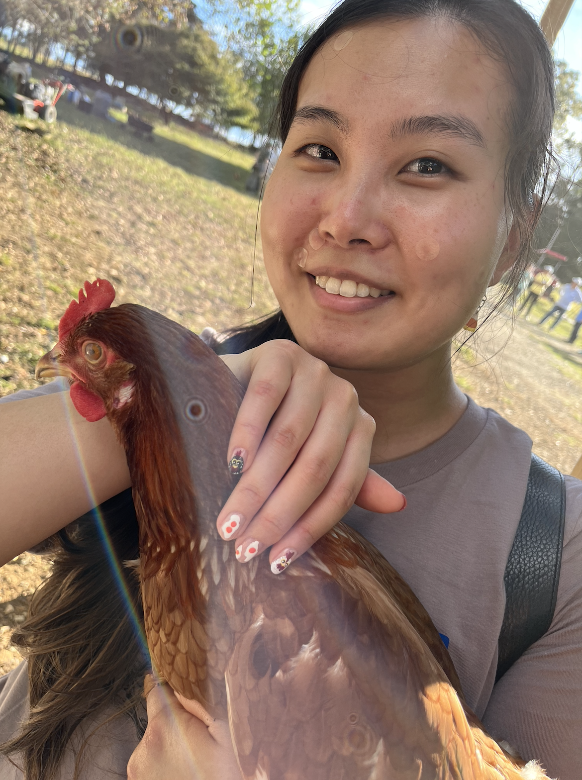 Screen Shot 2026-03-12 at 12.24.34 PM.png