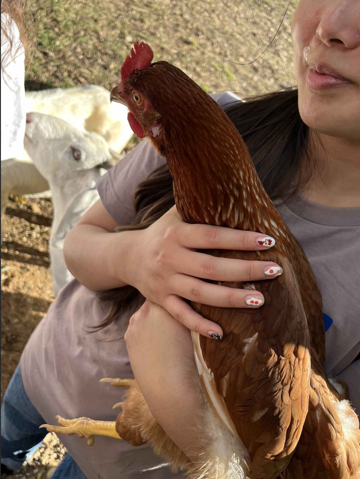 Screen Shot 2026-03-12 at 12.25.10 PM.png