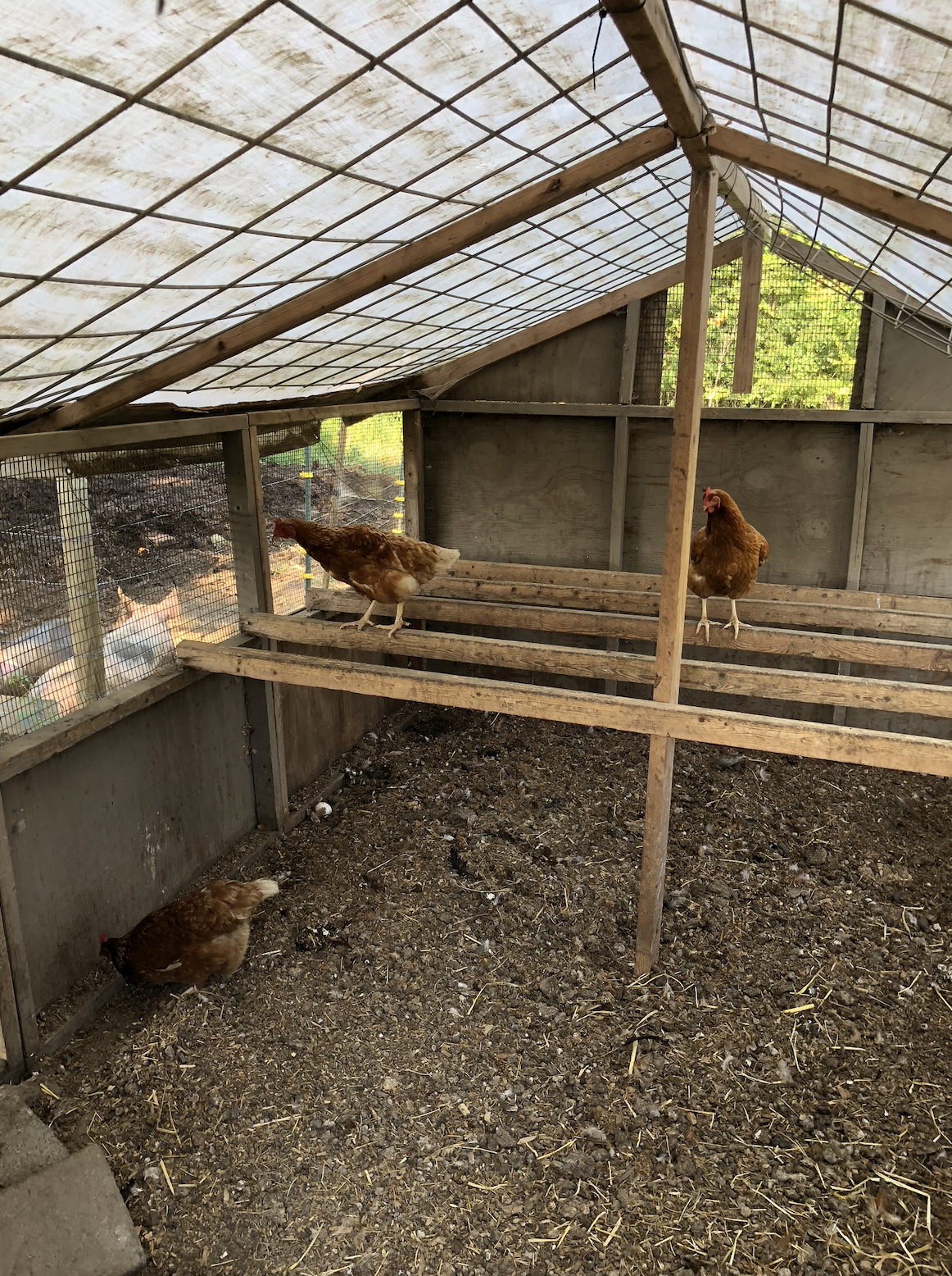 Screen Shot 2026-03-12 at 12.25.27 PM.png