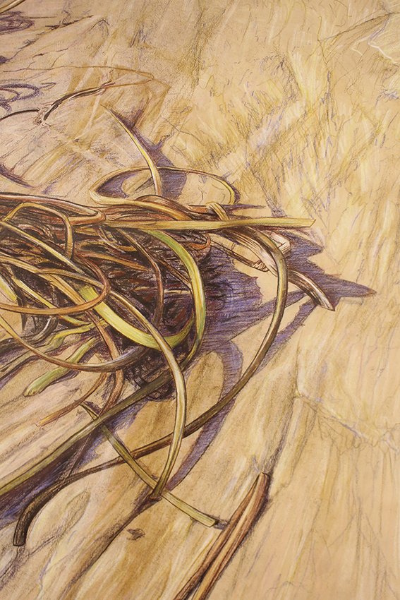 Compton-Beach-neale-marriott-detail-drawing.jpg