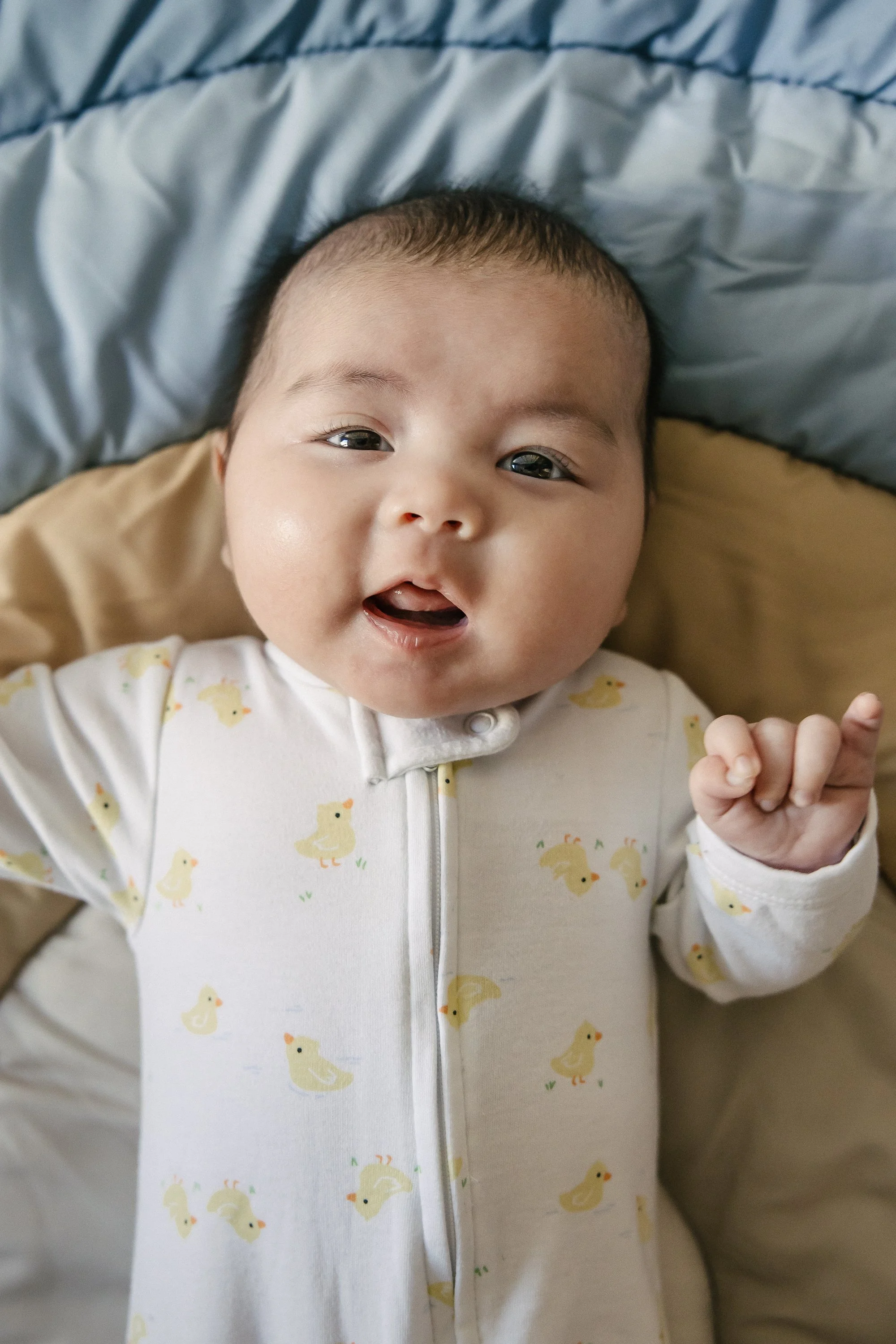 West Loop Family Photographer-Becca Heuer Photography-003.jpg