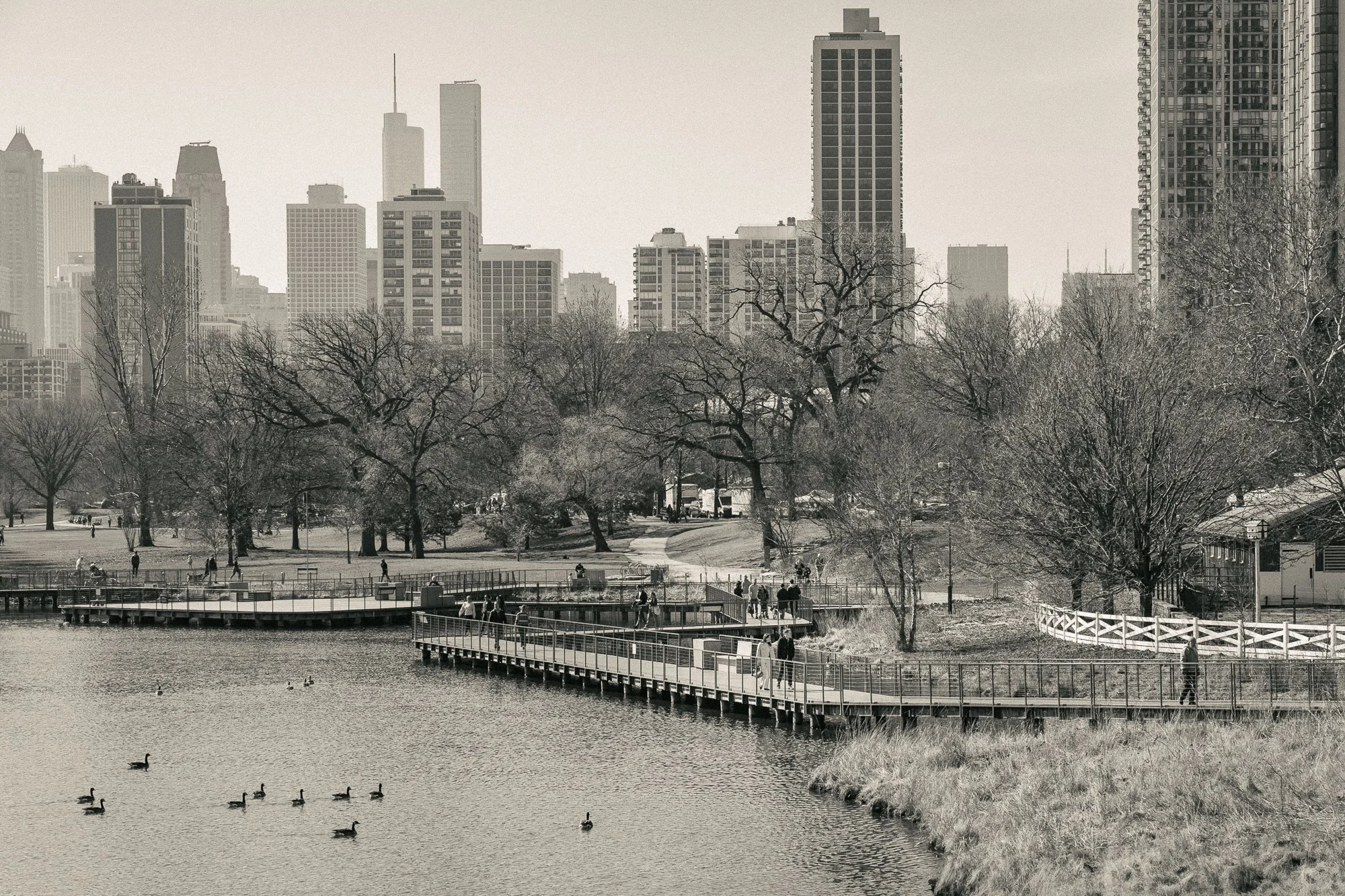 Chicago Proposal-Lincoln Park Proposal Photographer-Becca Heuer Photography-001.jpg