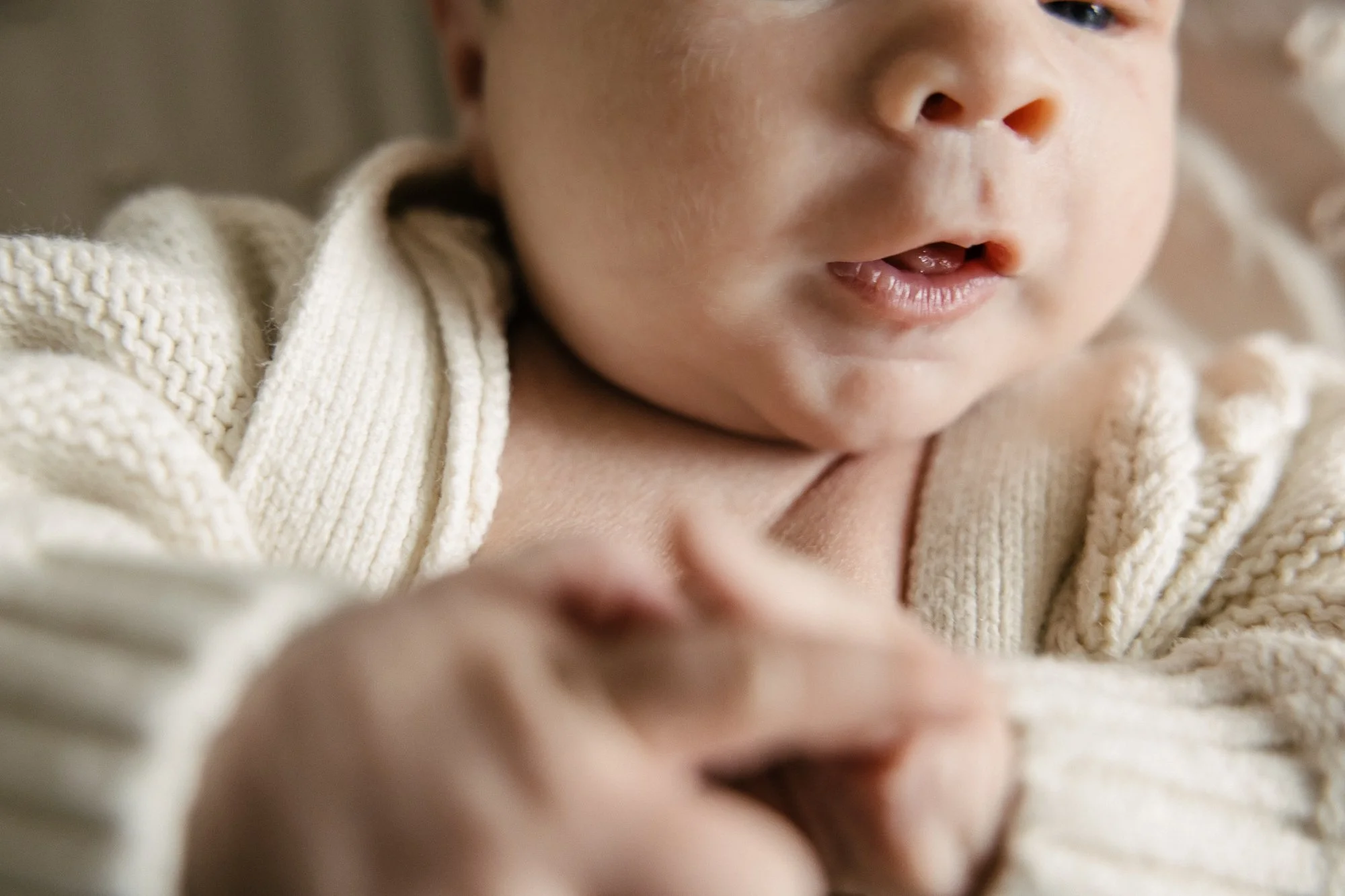 Chicago Newborn Photos-Chicago Newborn Photographer-Becca Heuer Photography-001.jpg
