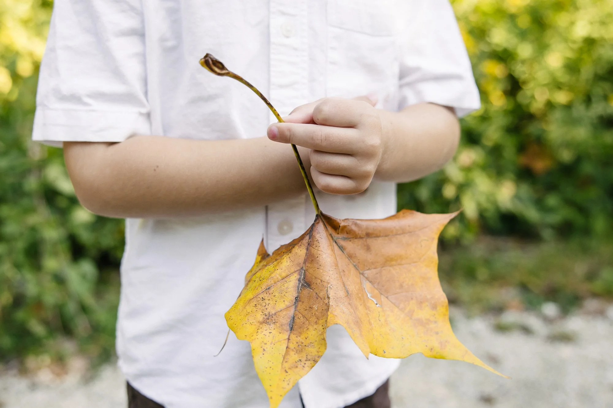 Fullersburg Woods Family Photos-Chicago Family Photographer-Becca Heuer Photography-016.jpg