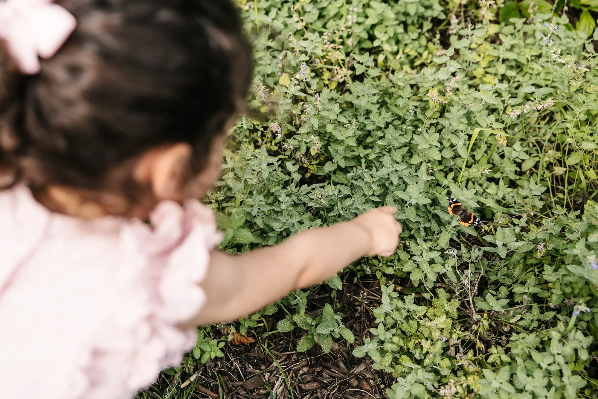 Chicago Family Photos-Lincoln Park Photographer-Becca Heuer Photography-008.jpg