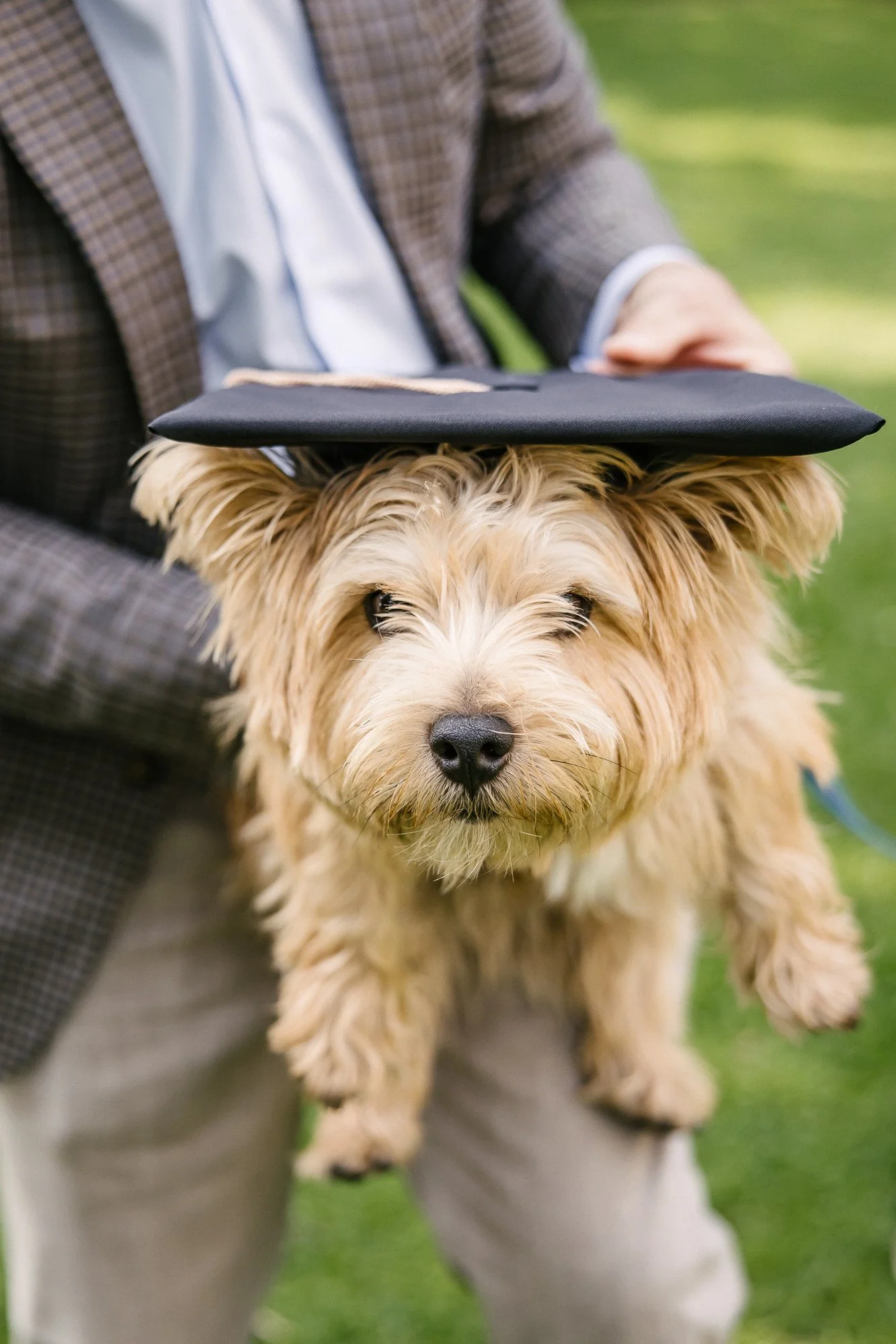Northwestern Graduate Photos-Evanston Family Photographer-Becca Heuer Photography-006.jpg