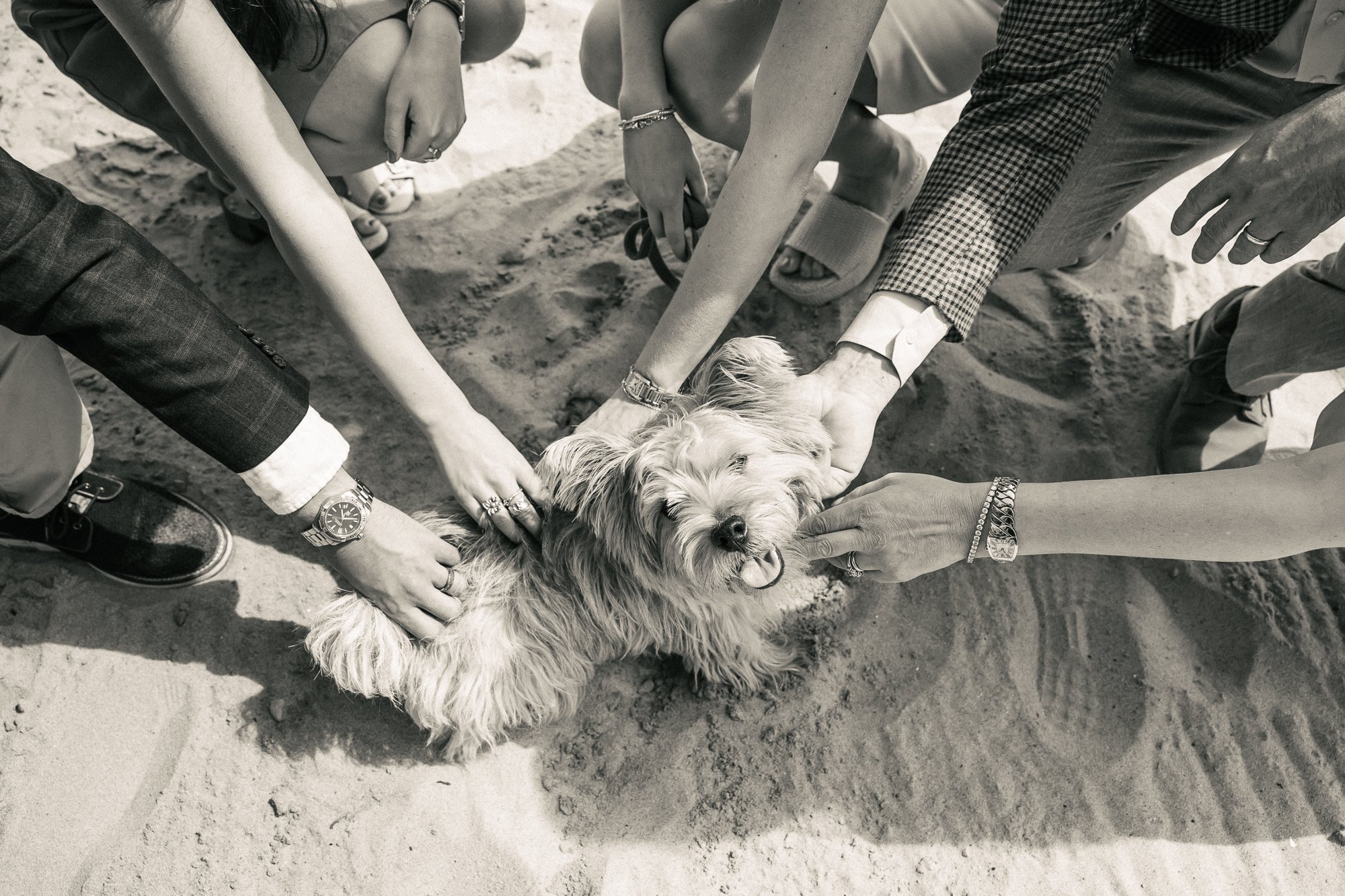 Northwestern Graduate Photos-Evanston Family Photographer-Becca Heuer Photography-025.jpg
