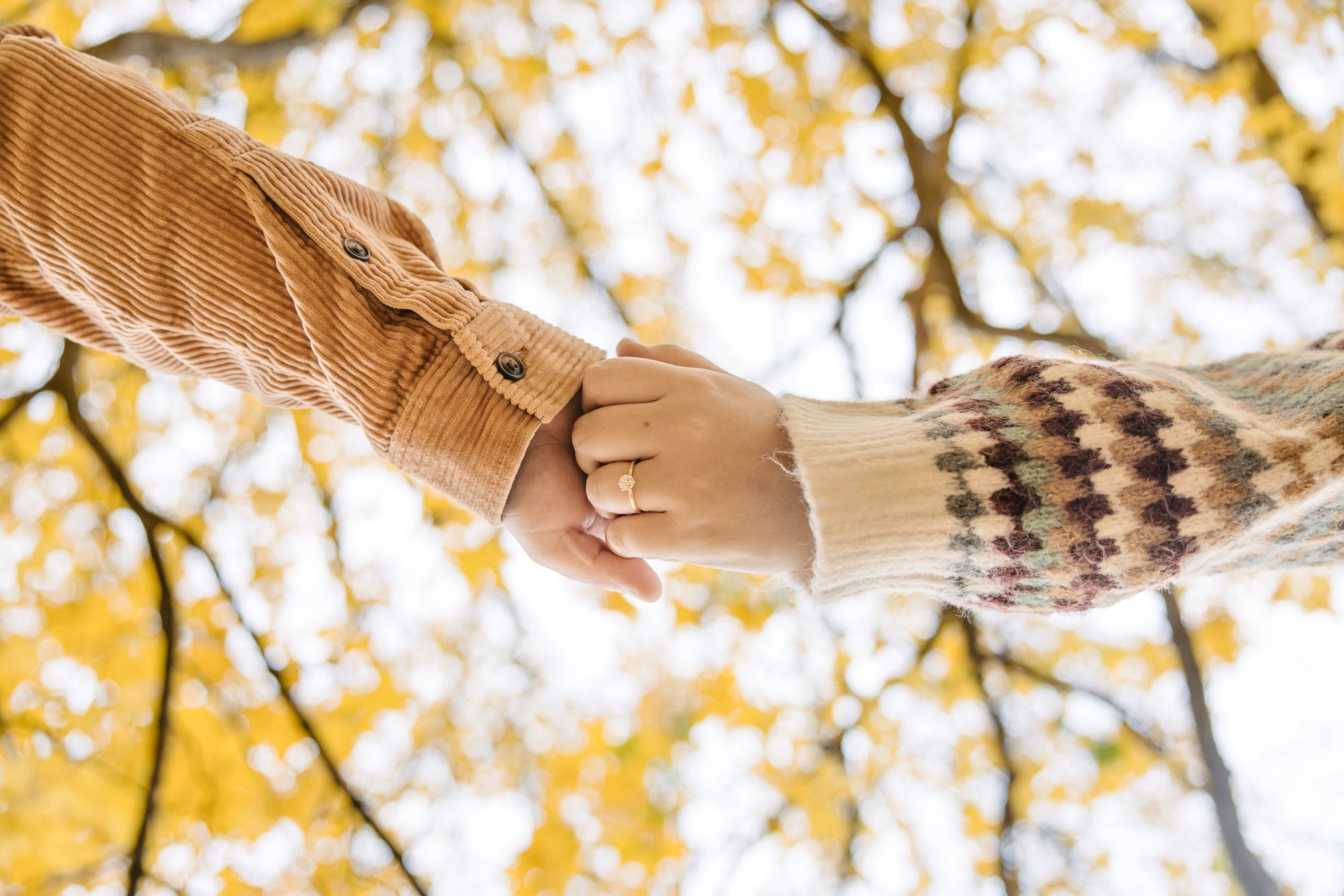 Morton Arboretum Engagement Photos-Becca Heuer Photography-003.jpg