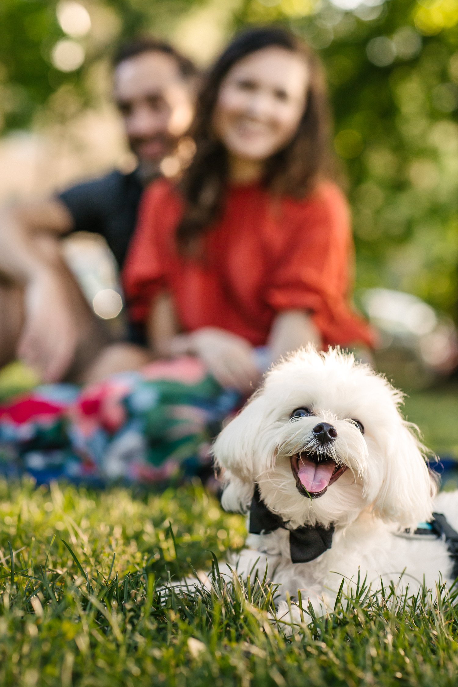 Logan Square Photographer-Becca Heuer Photography-004.jpg