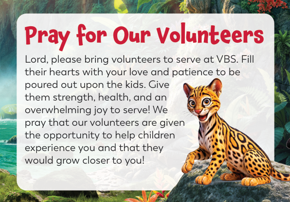 VBS 4.png