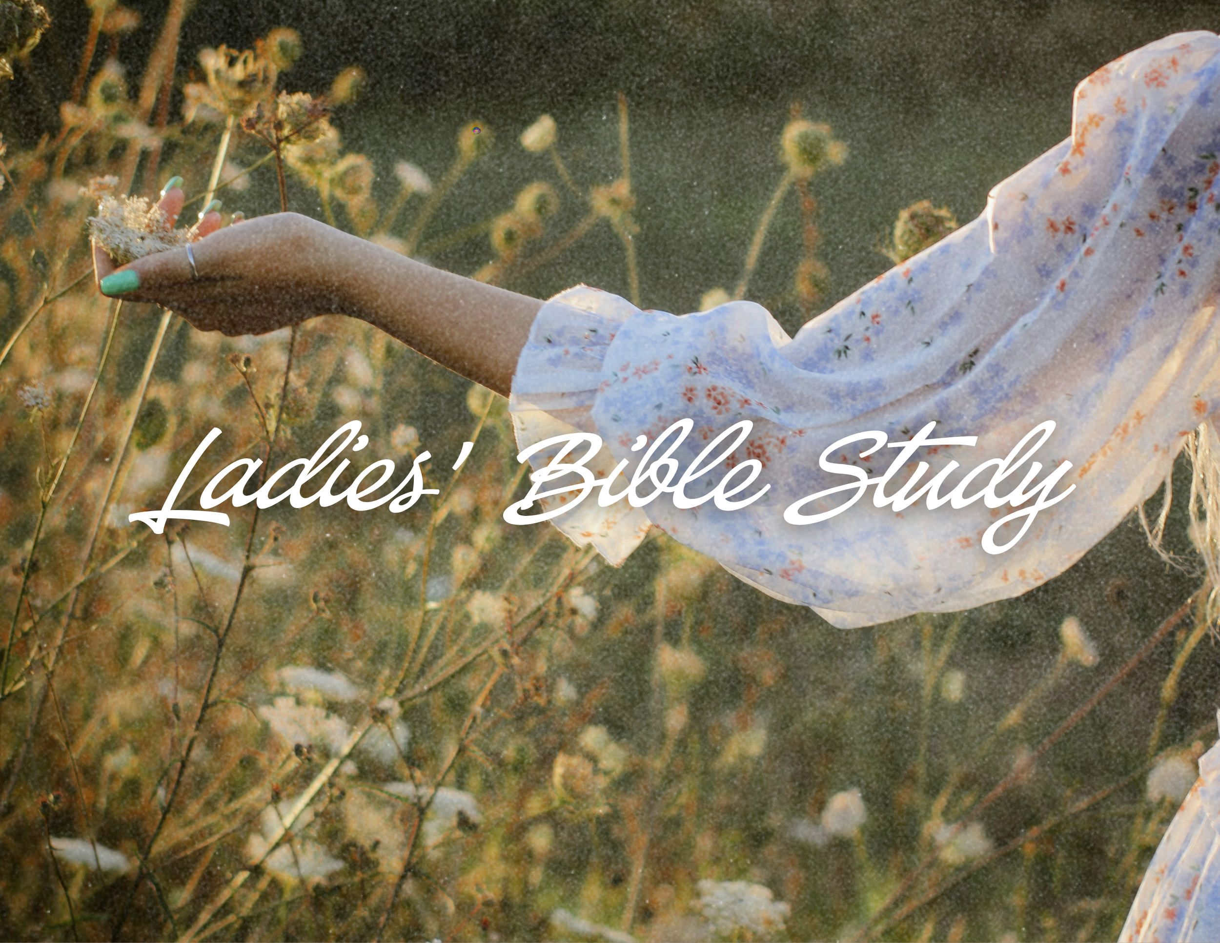 Ladies Bible Study