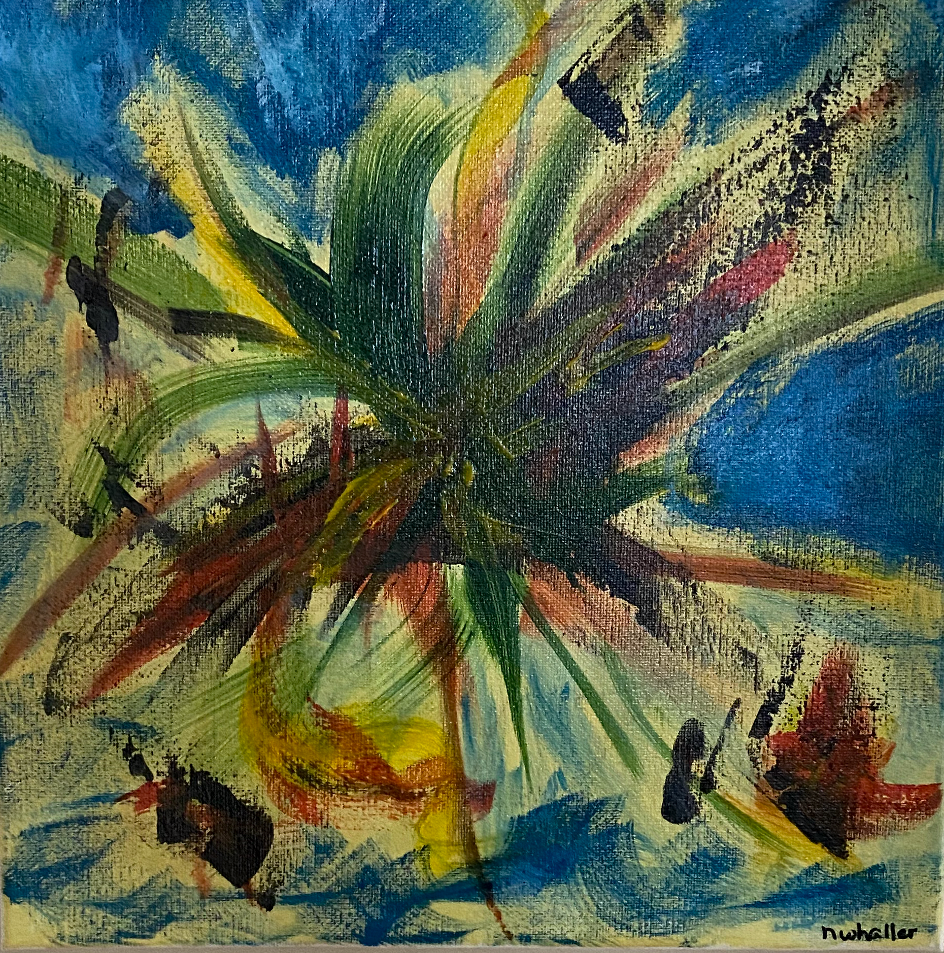 Fireworks