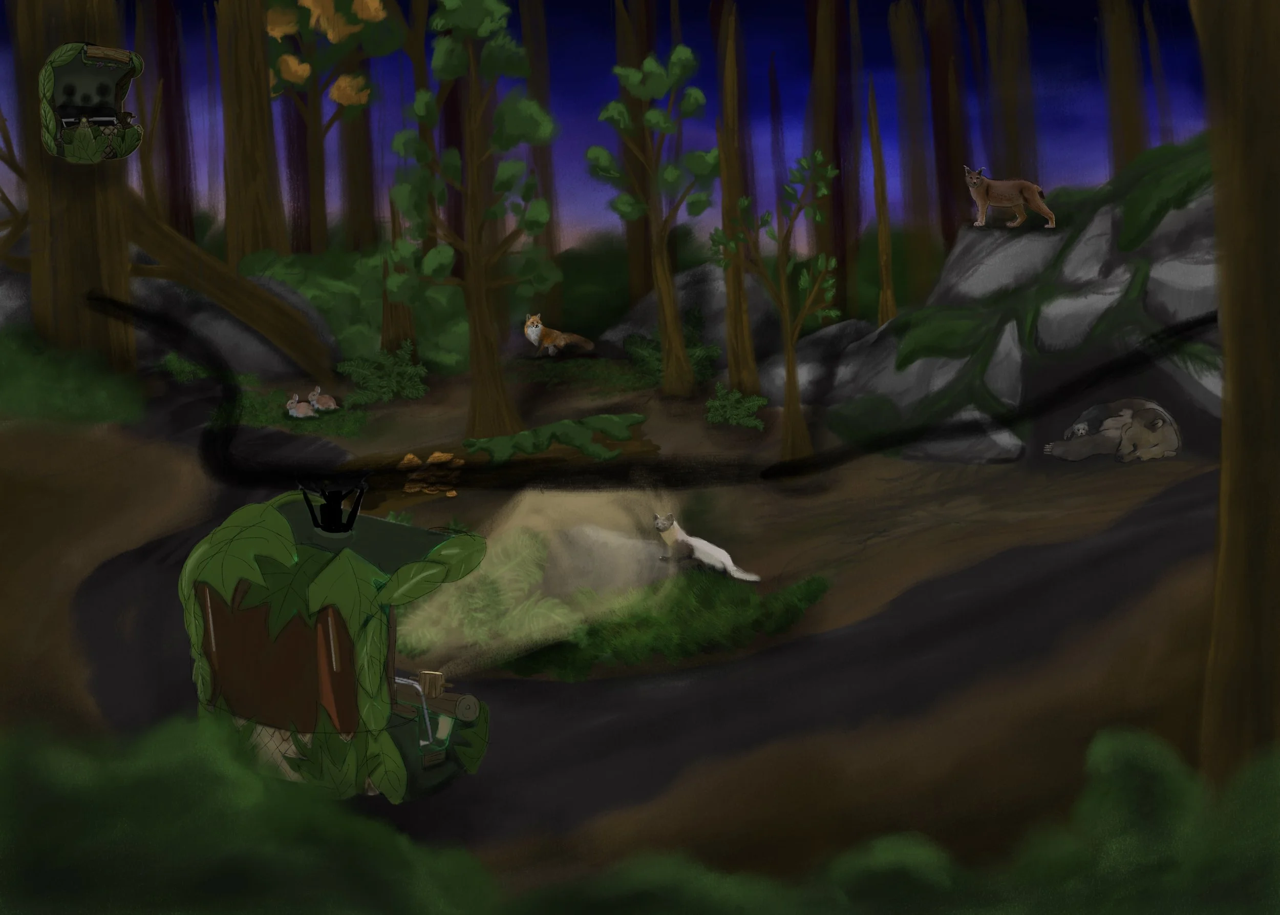 The Forest Floor