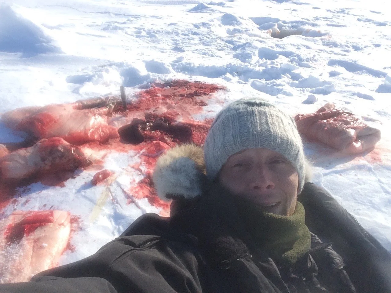 actual seal-fie.jpeg