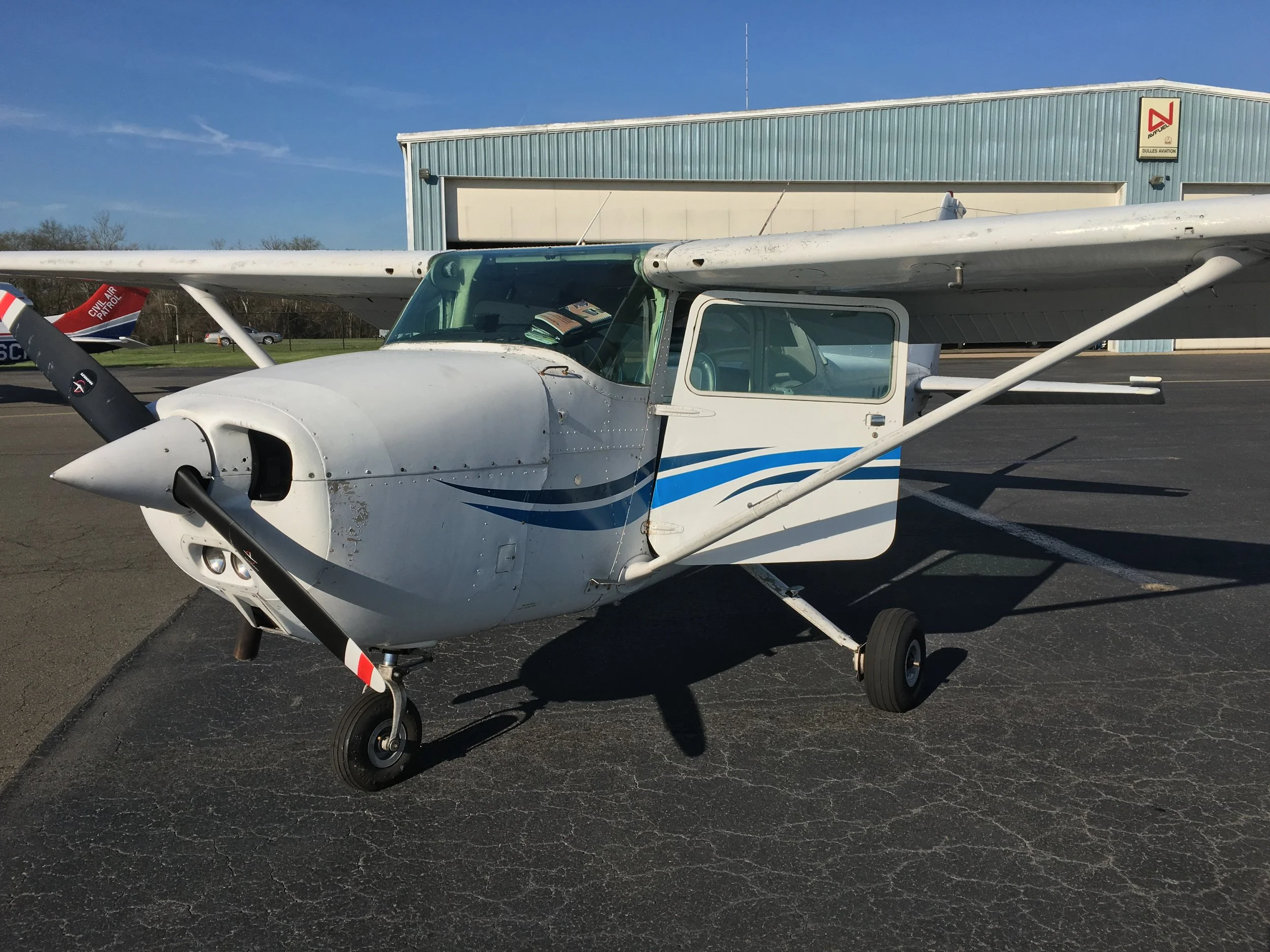8191E (my lil bird).jpeg