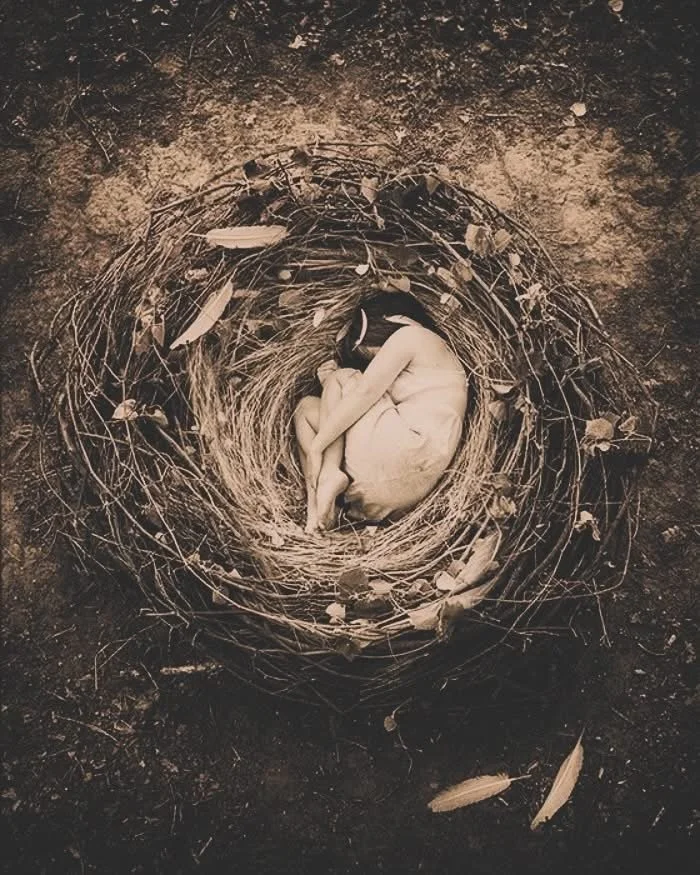 Coming Into Wholeness