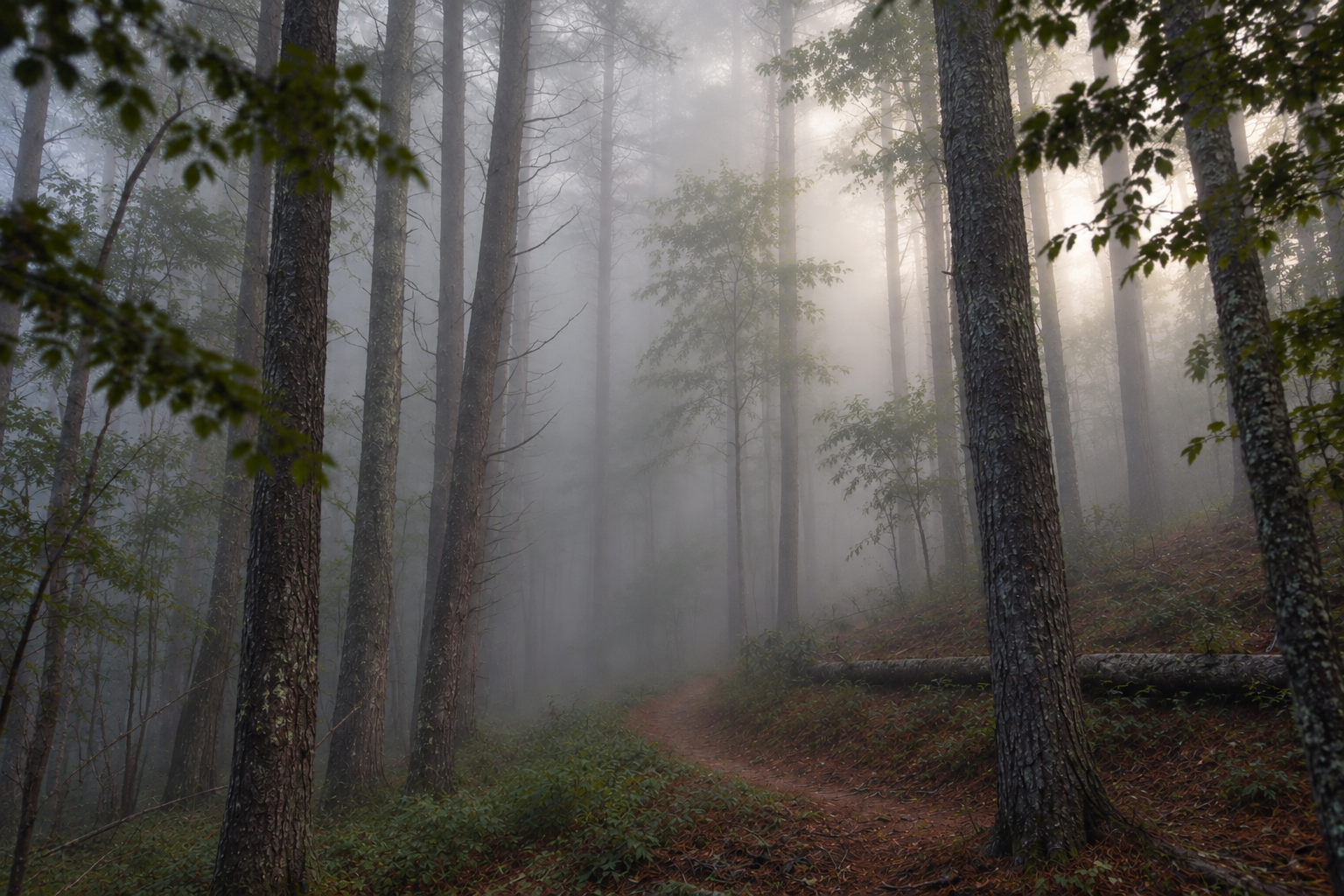 SPIRIT: Leave a Little Room for Mystery