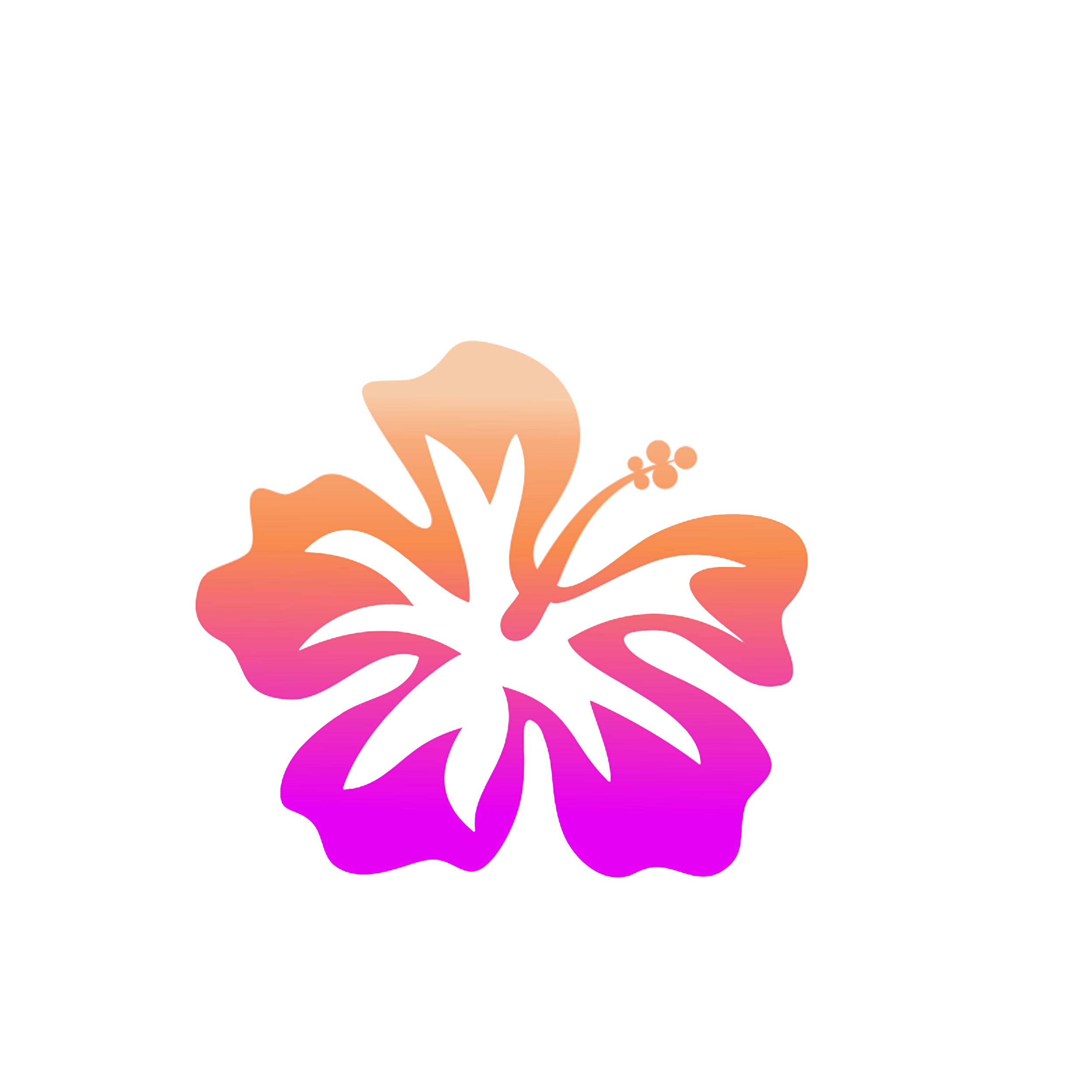 Contact — Ohana Roofing