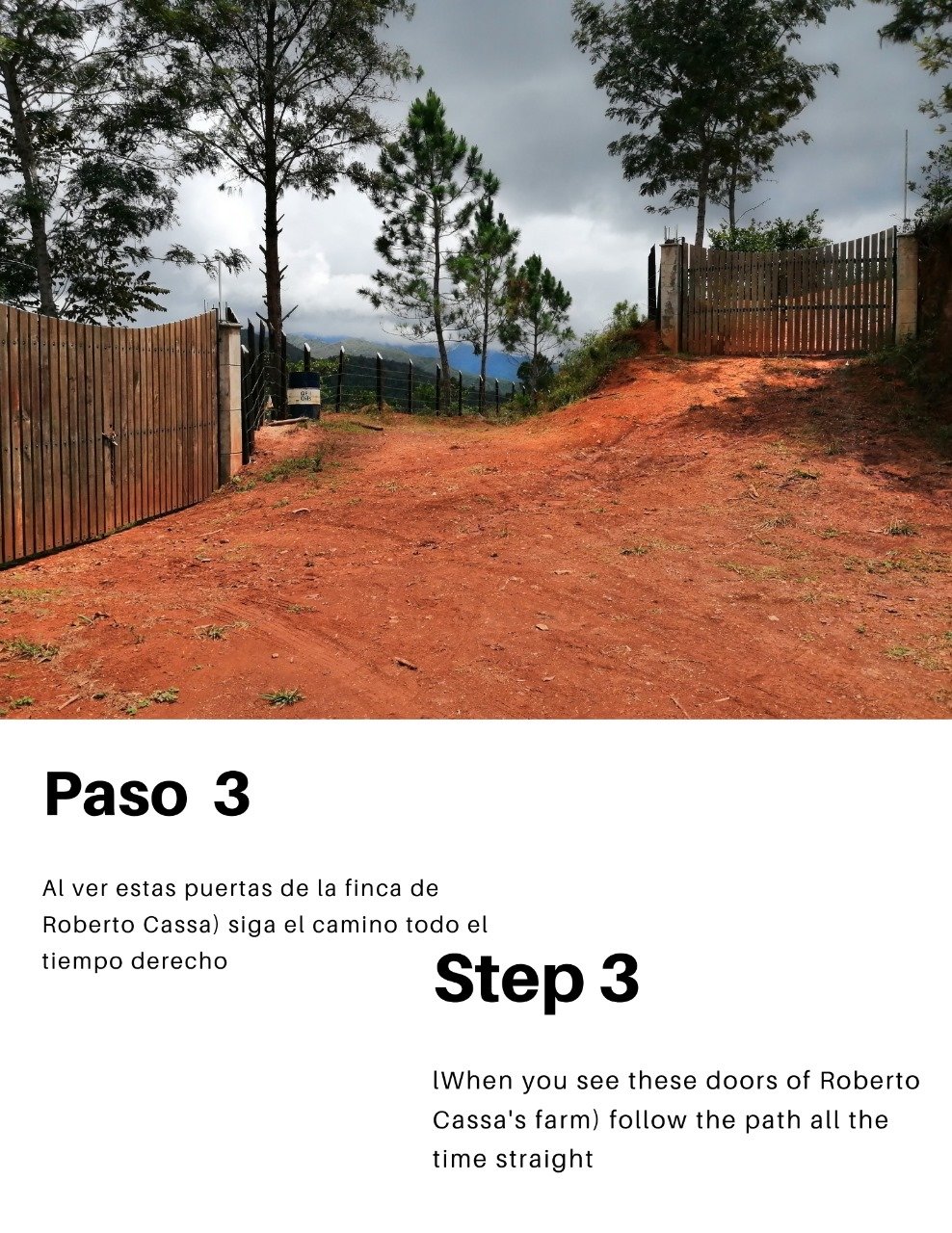 PASO 3.jpg