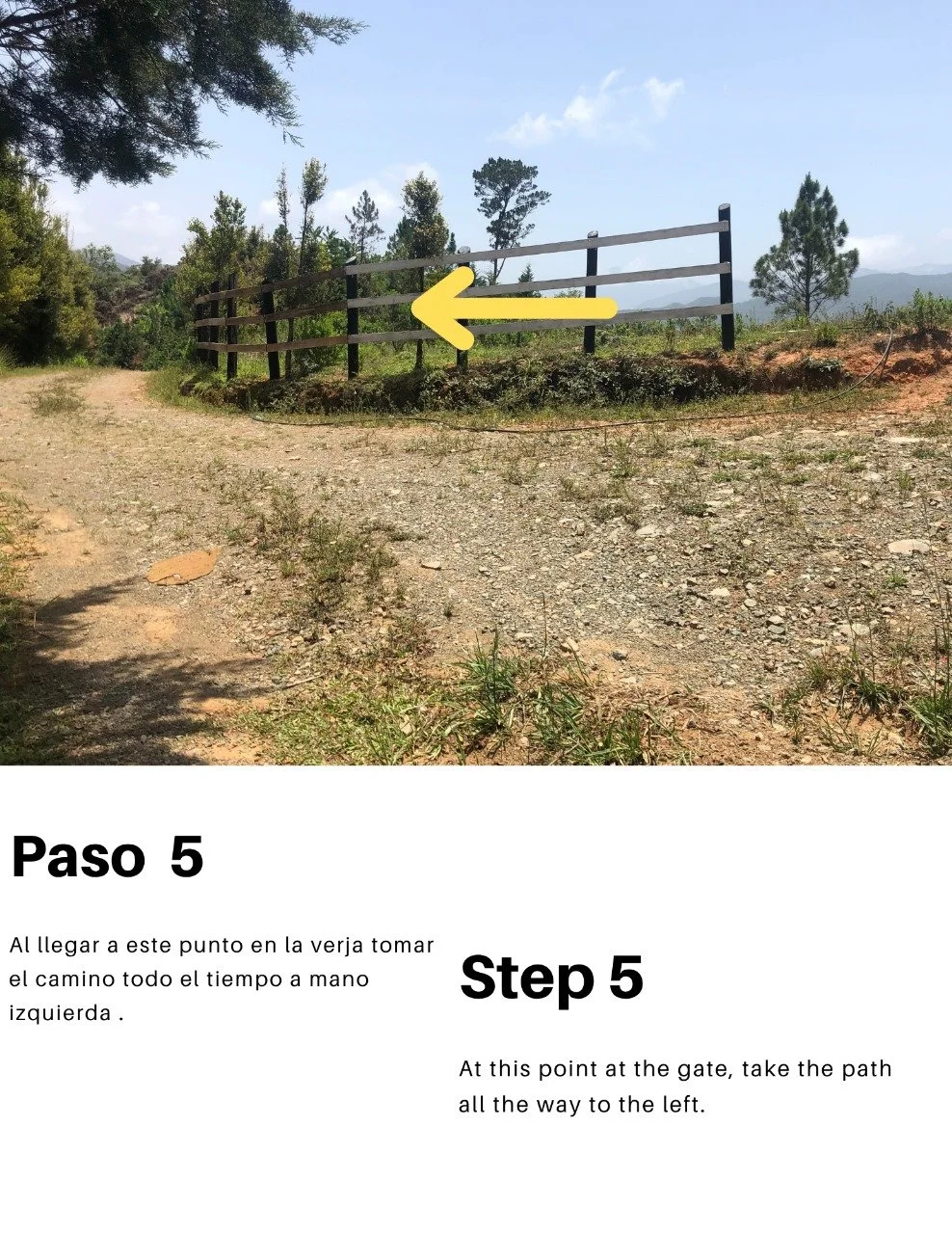 PASO 5.jpg