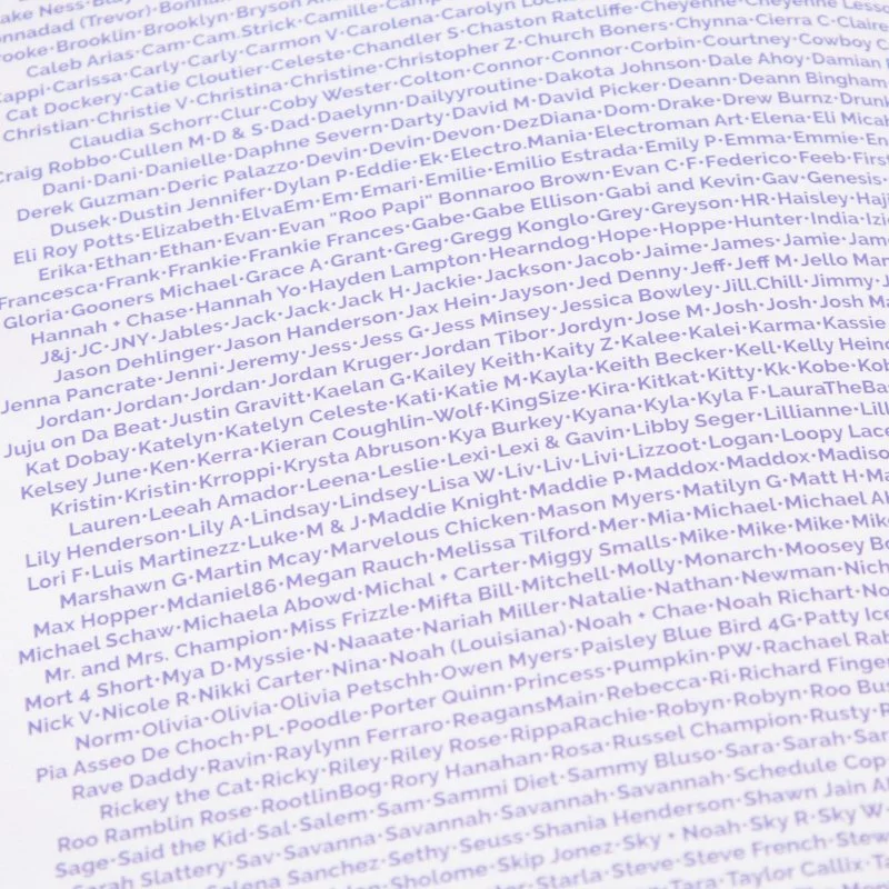 Bonnaroo Yearbook 08_26-05-31.jpg