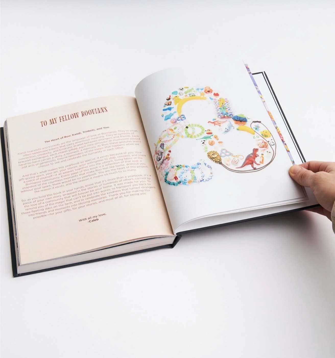 bonnaroo yearbook Hero shot web res.jpg