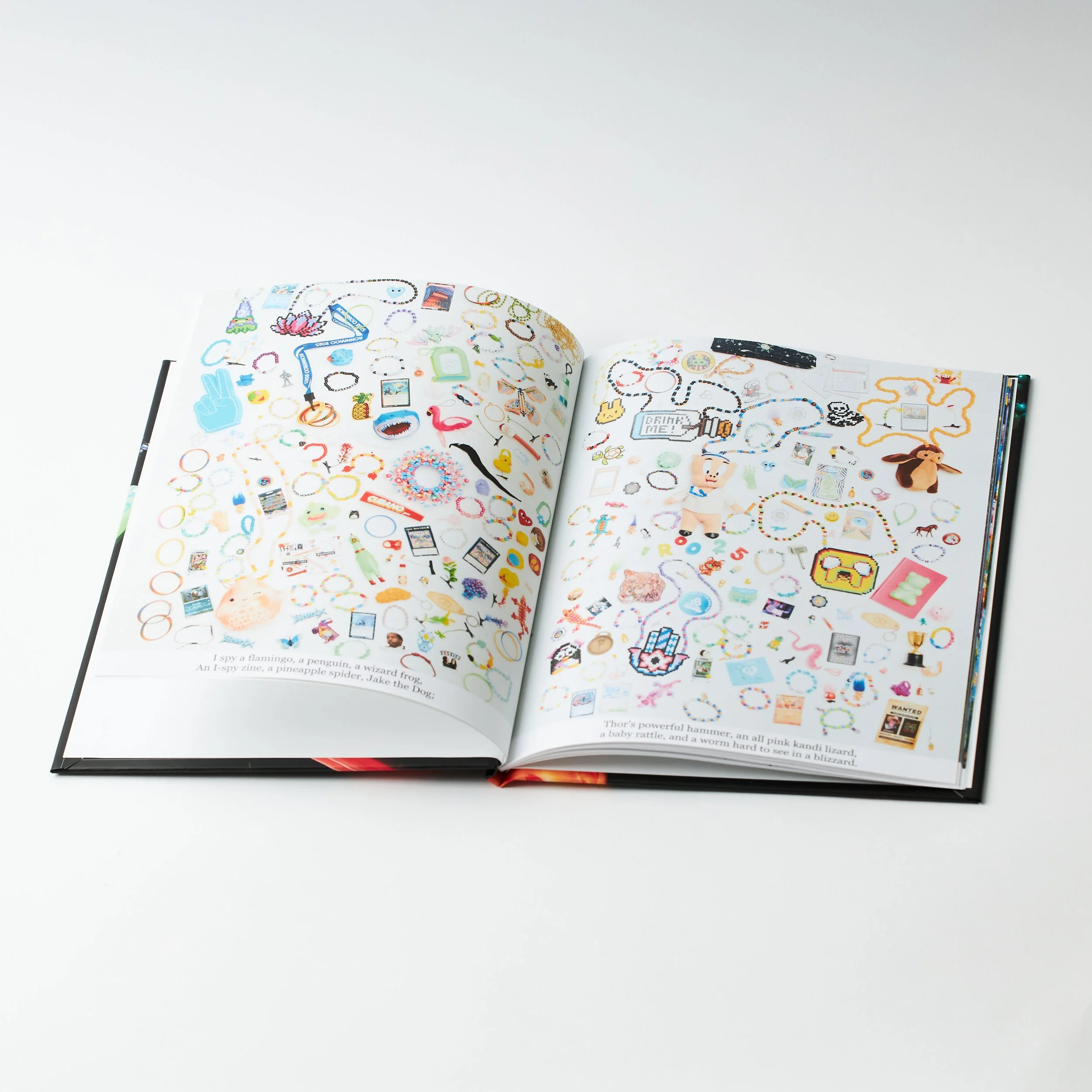 Oct 20 2025, 233A4901, 007.jpg