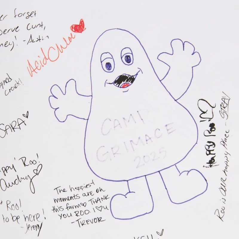 Bonnaroo Yearbook 04_26-05-31.jpg